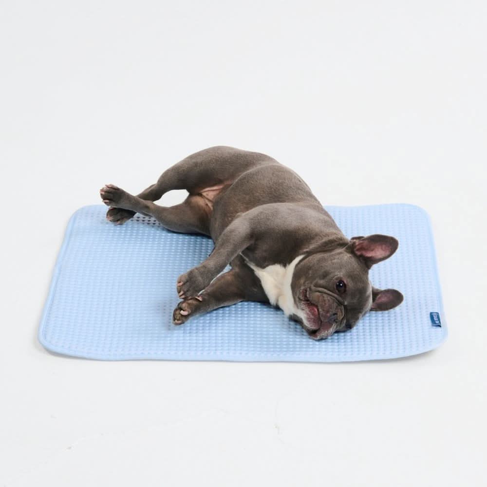 Frostcore™ Cooling Mat - Image 35