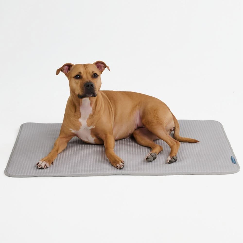 Frostcore™ Cooling Mat - Image 45