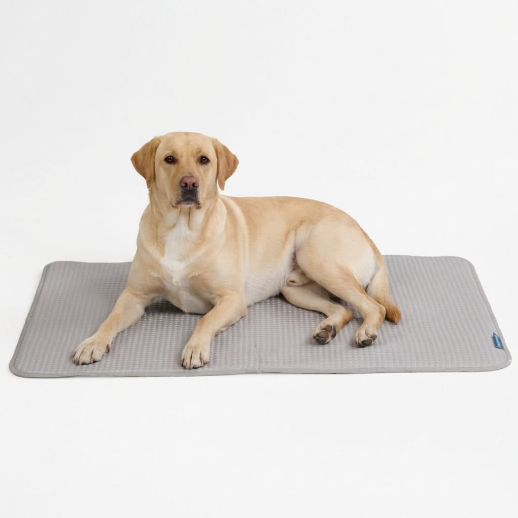 Frostcore™ Cooling Mat - Image 46