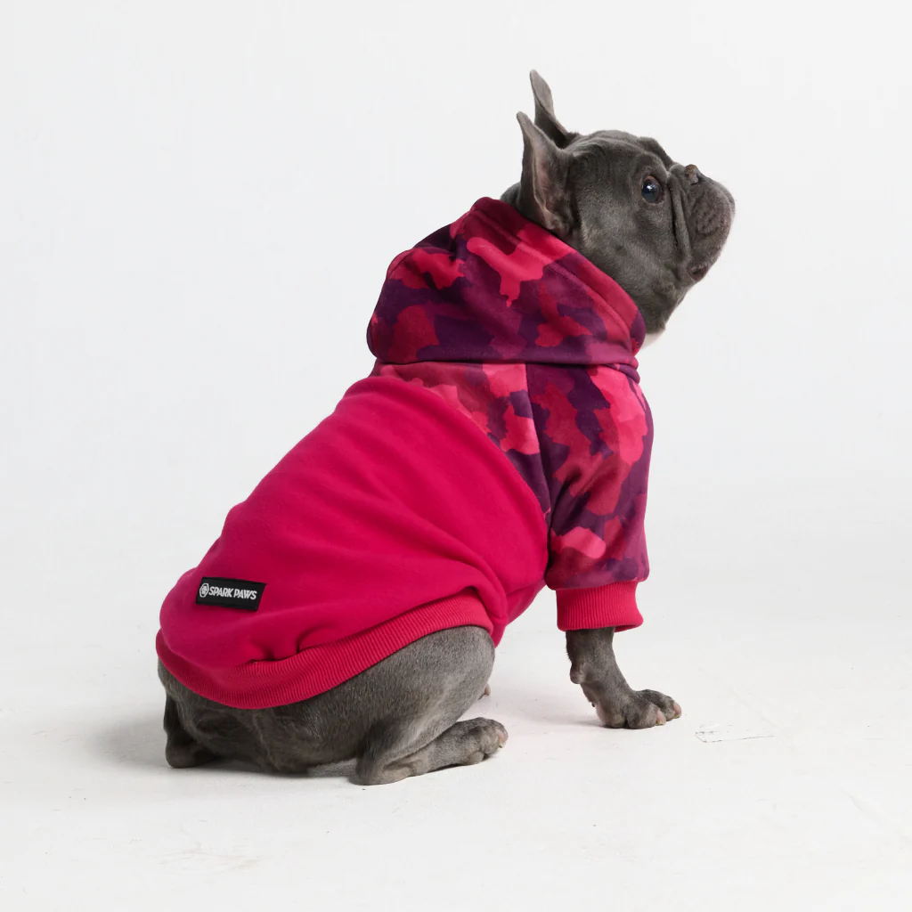 Fuchsia Camo Dog Hoodie - Image 11