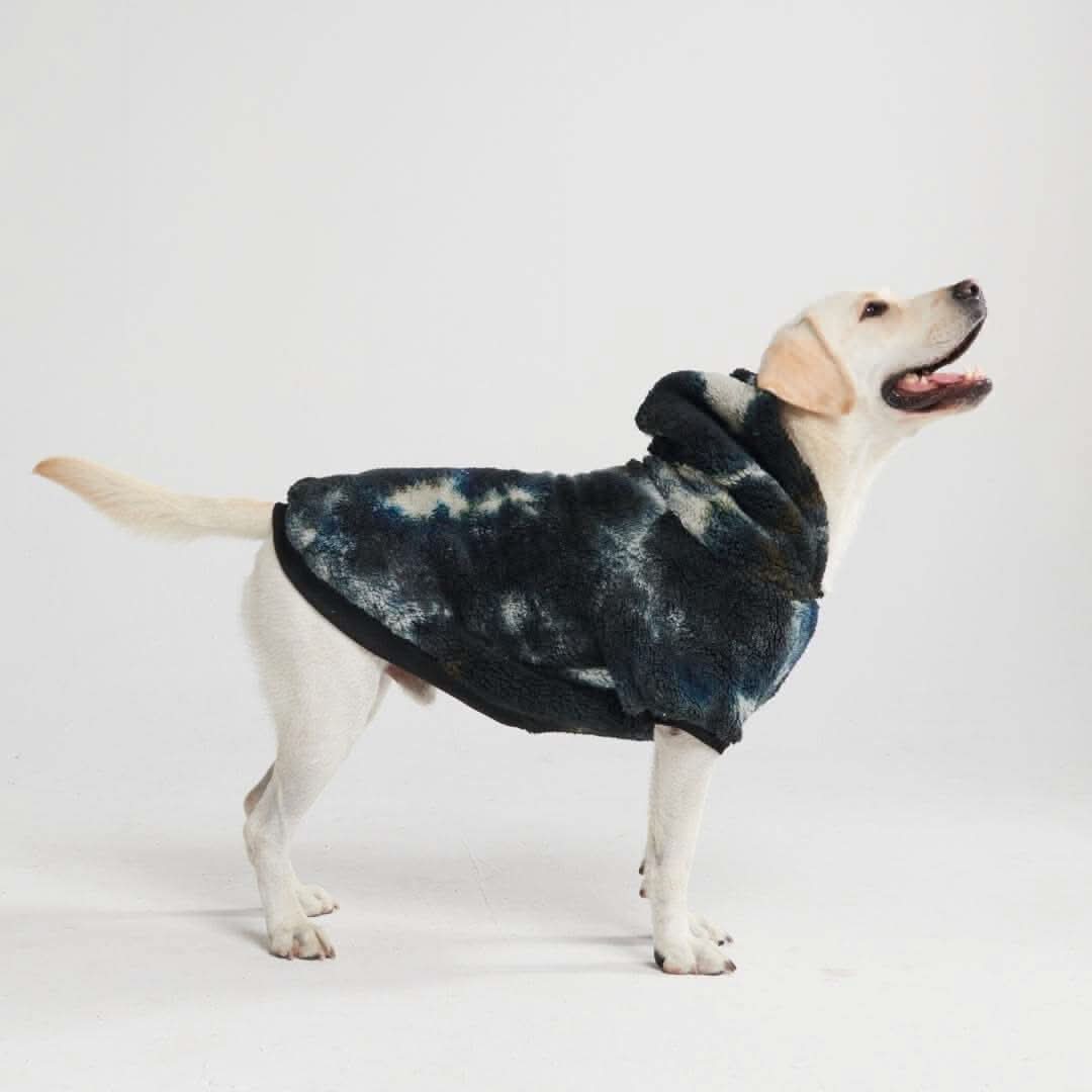 Fluffdreams Blanket Dog Hoodies - Image 13
