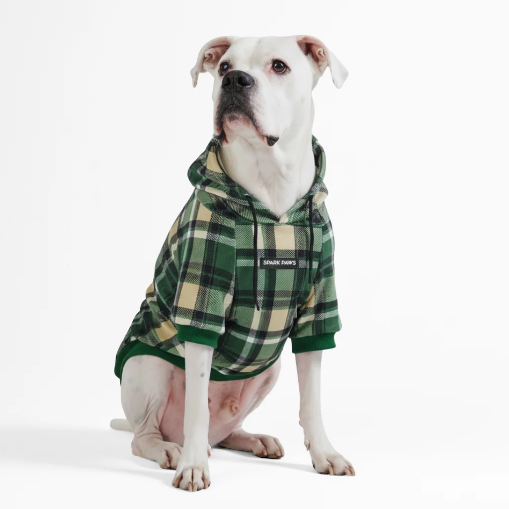 Green Plaid Dog Hoodie - Image 5