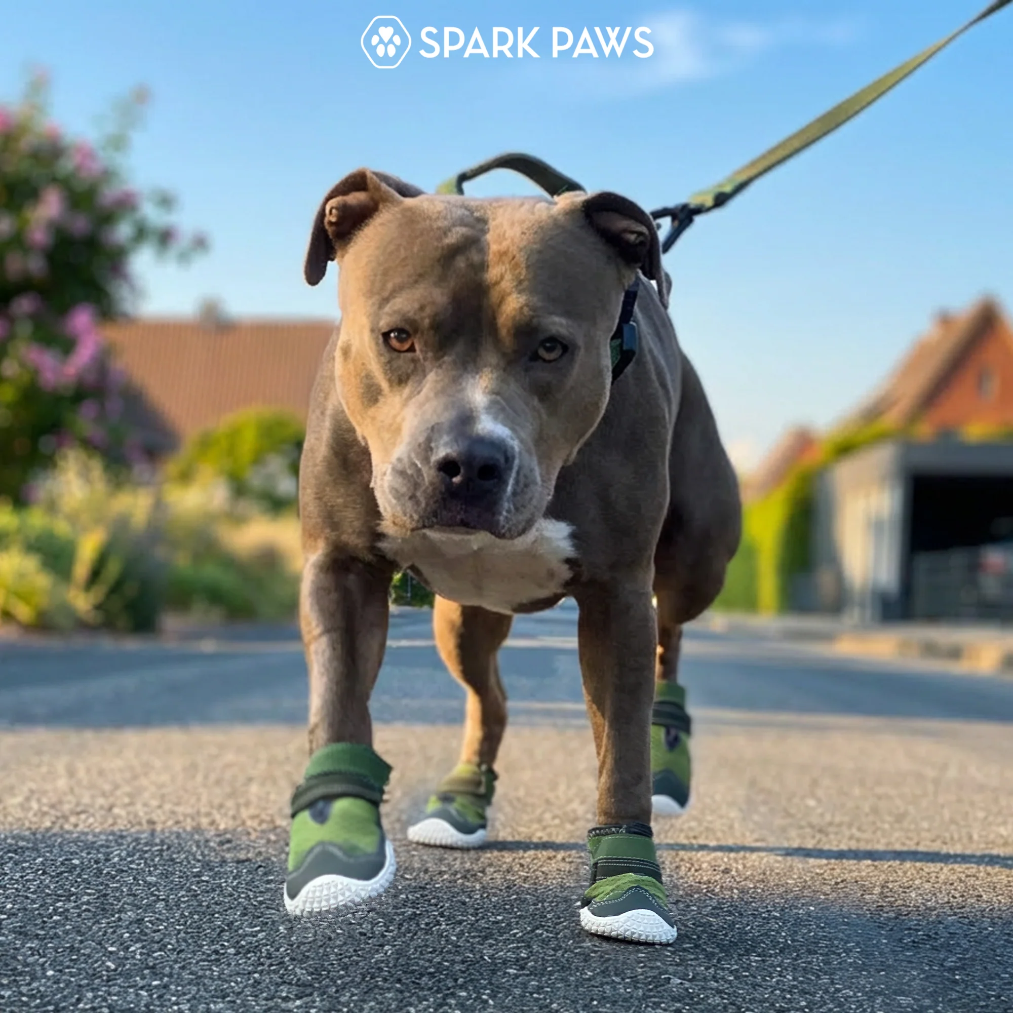 Hot Pavement Pawtector Dog Shoes - Image 12