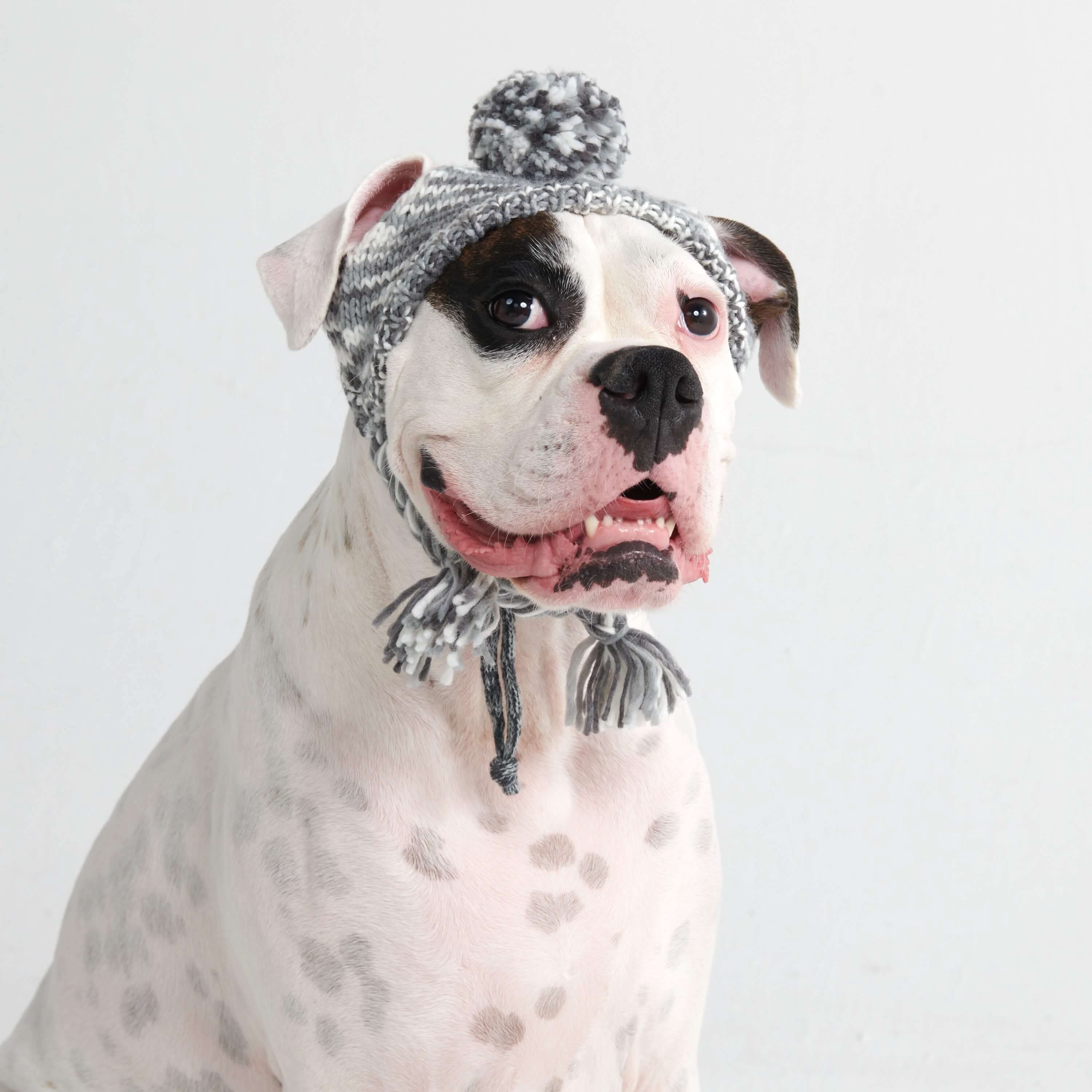 Knit Pom Pom Dog Beanie Hats - Image 7