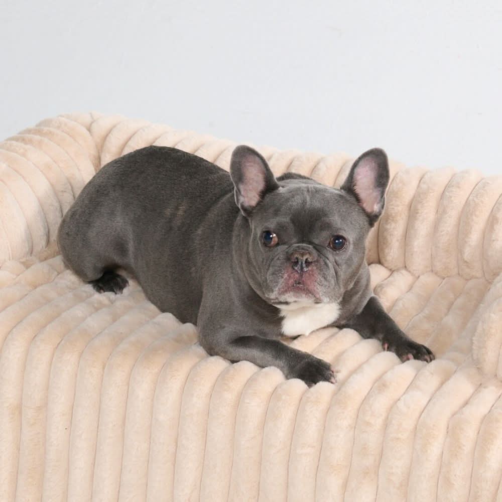 Luxury Couch Cover Dog Beds - Image 15