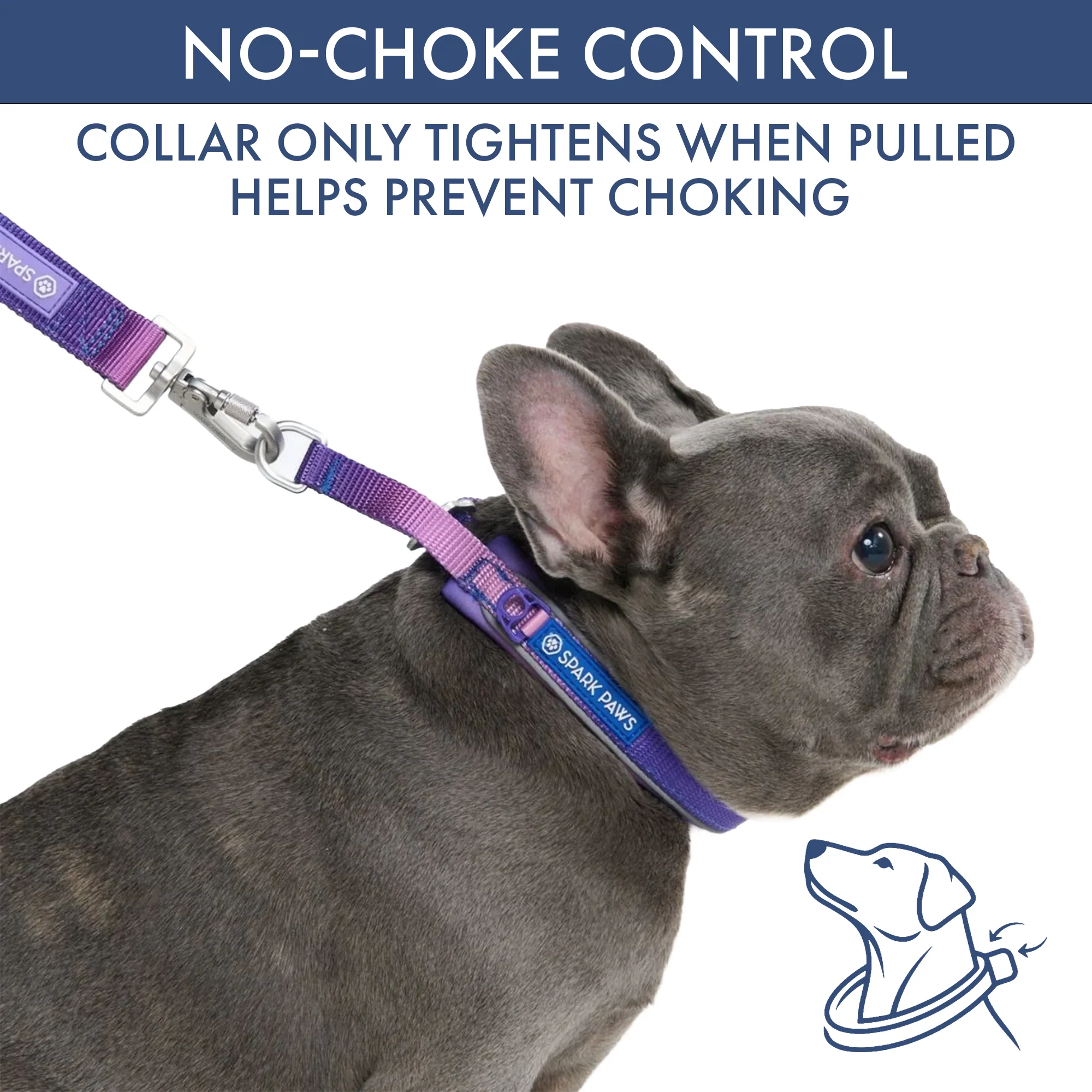 Martingale Collar and Multipurpose Leash Set - 90s Retro - Image 2