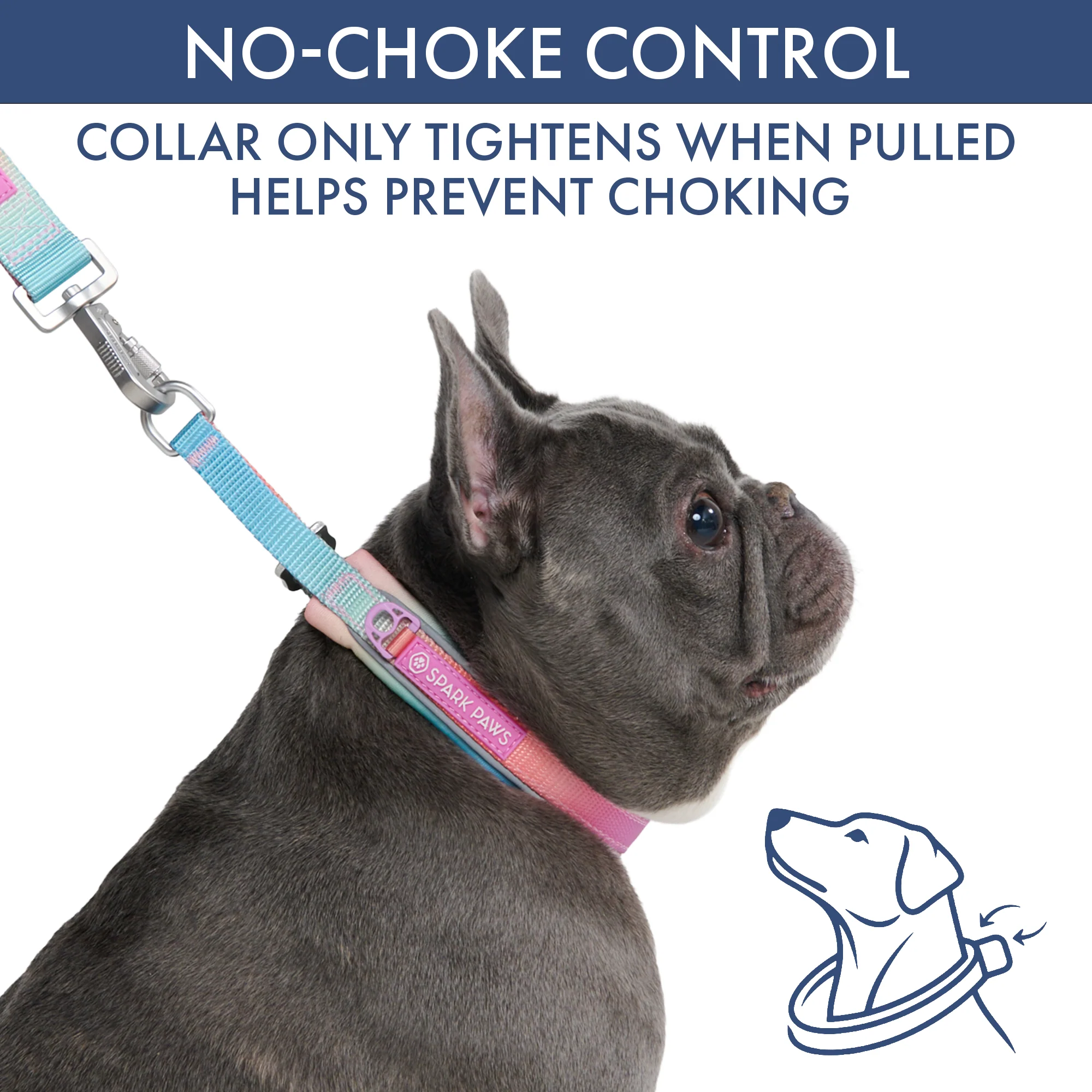 Martingale Collar and Multipurpose Leash Set - Pastel Icing - Image 2