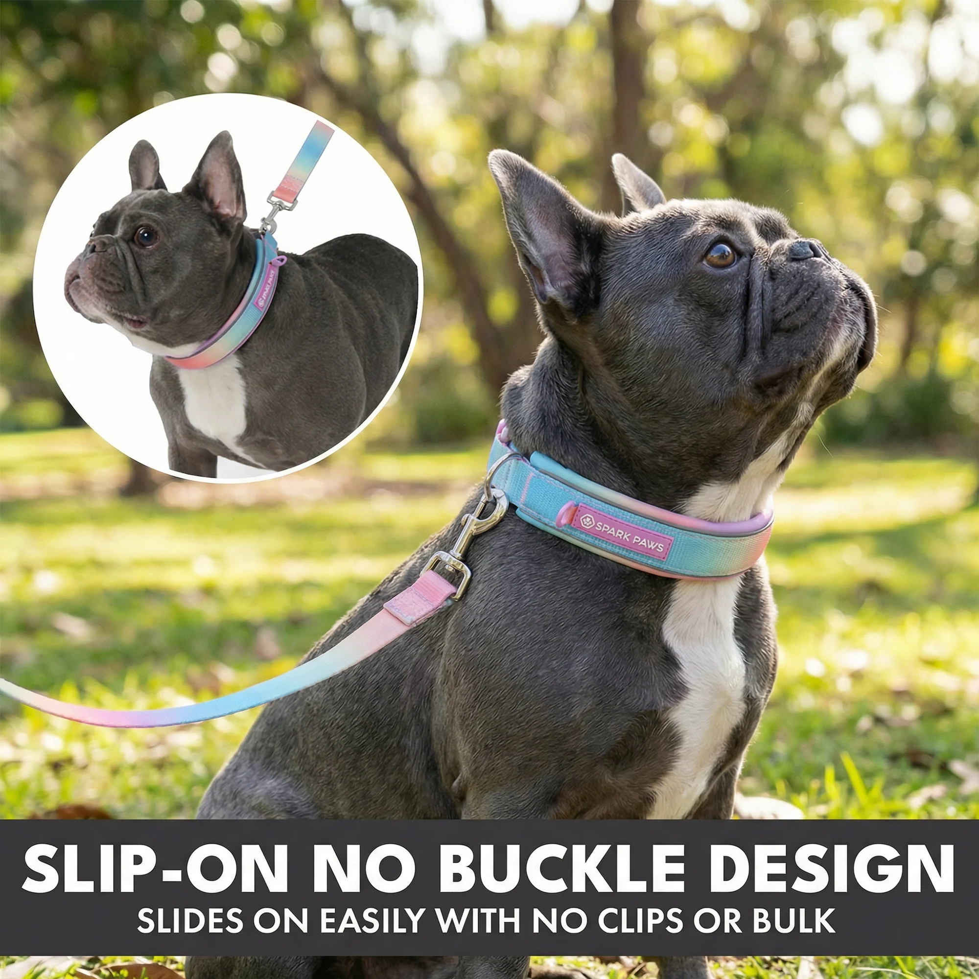 Martingale Collar and Multipurpose Leash Set - Pastel Icing - Image 4