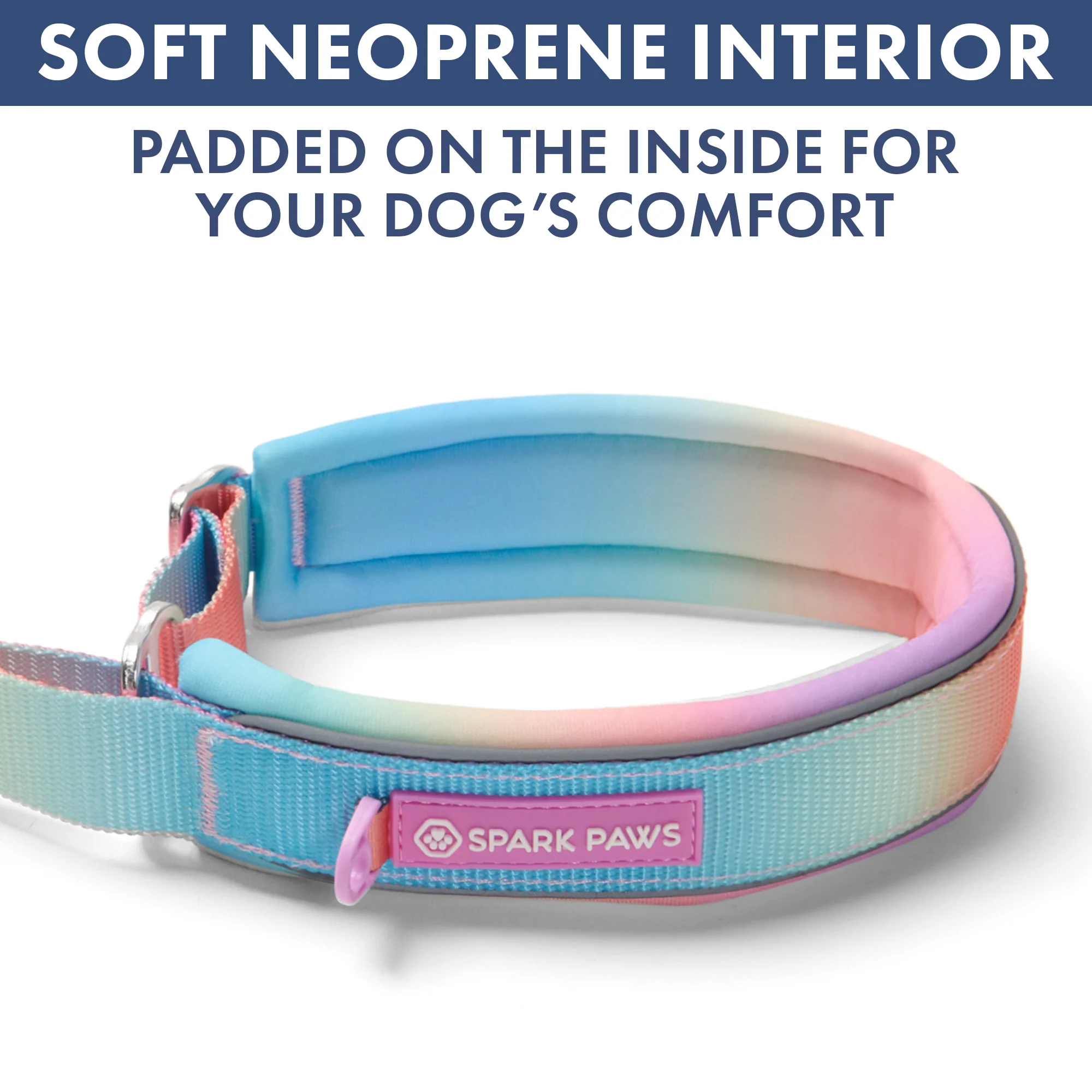 Martingale Collar and Multipurpose Leash Set - Pastel Icing - Image 6