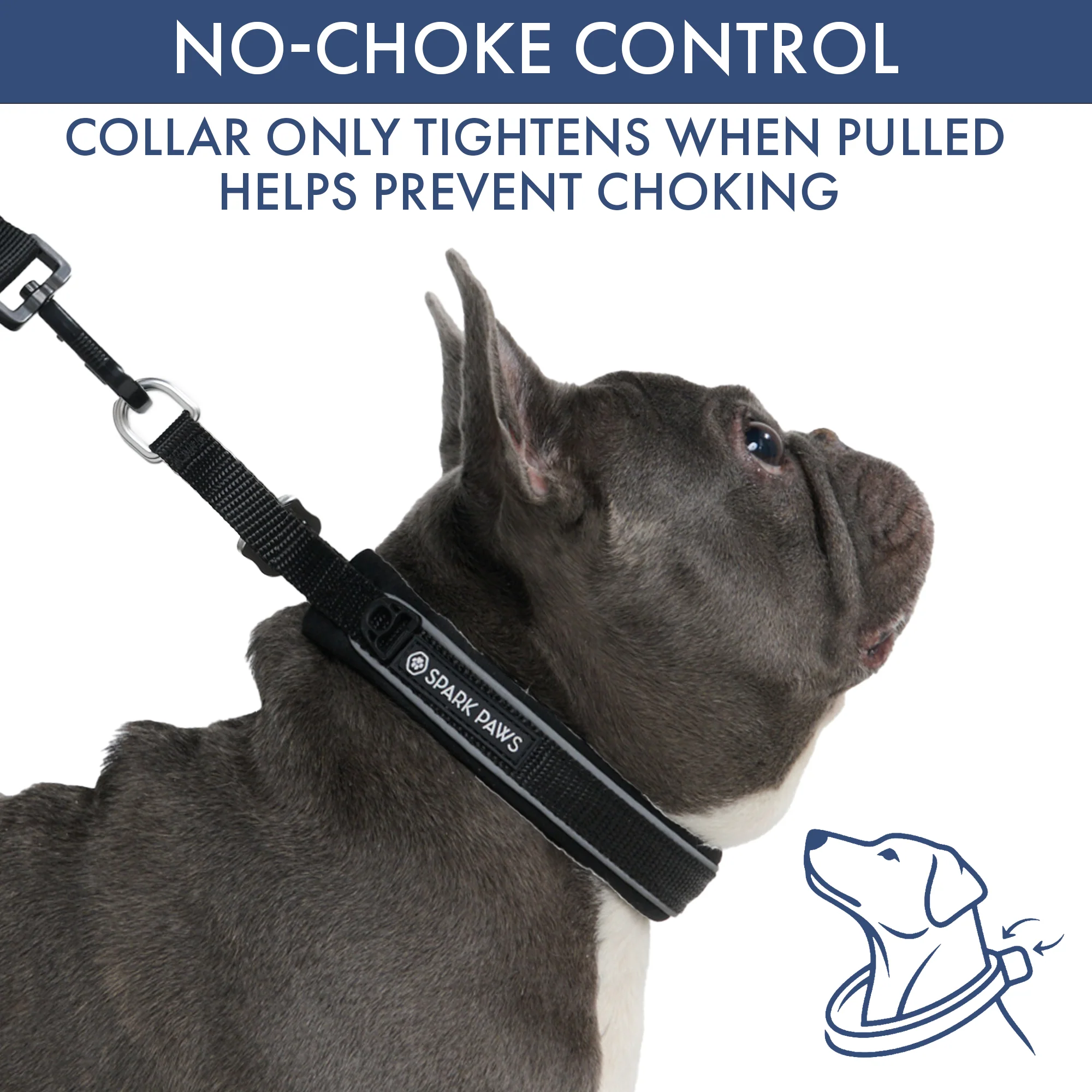 Martingale Collar and Multipurpose Leash Sets - Image 32