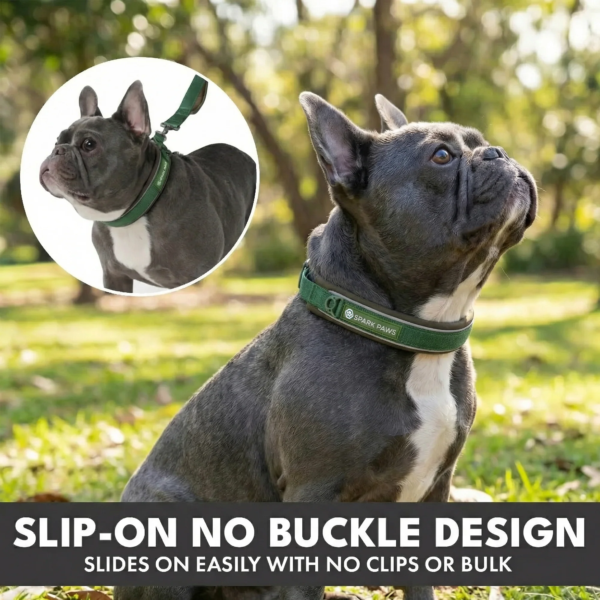 Martingale Collar and Multipurpose Leash Set - Army Green - Image 4