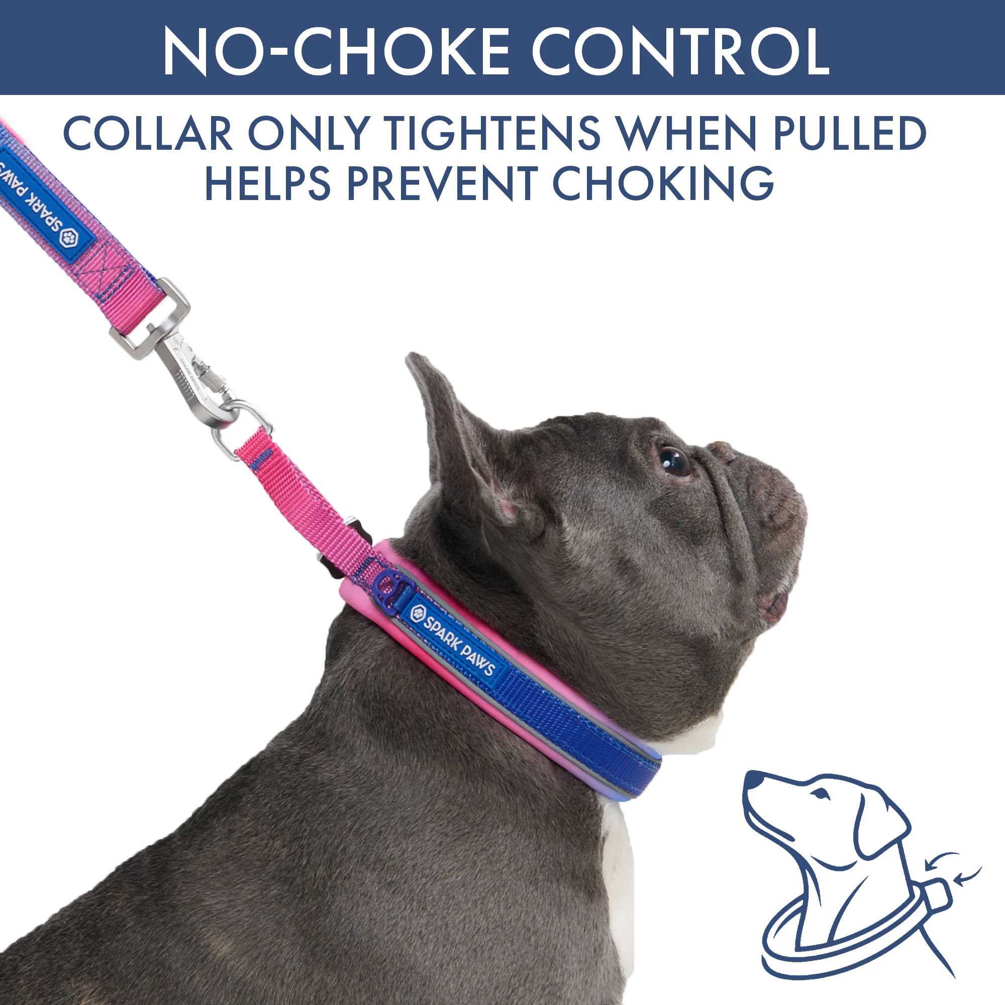 Martingale Collar and Multipurpose Leash Set - Snow Cone - Image 2