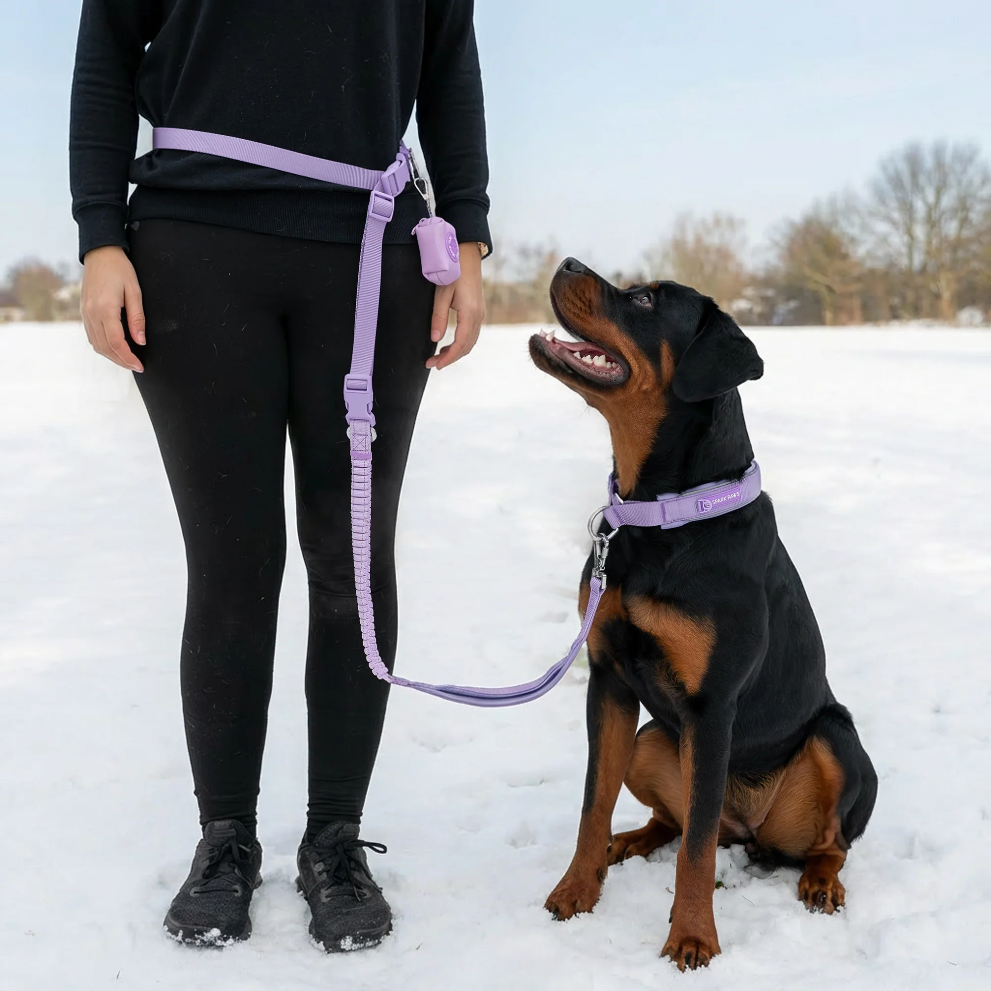 Martingale Collar and Multipurpose Leash Set - Lilac - Image 10