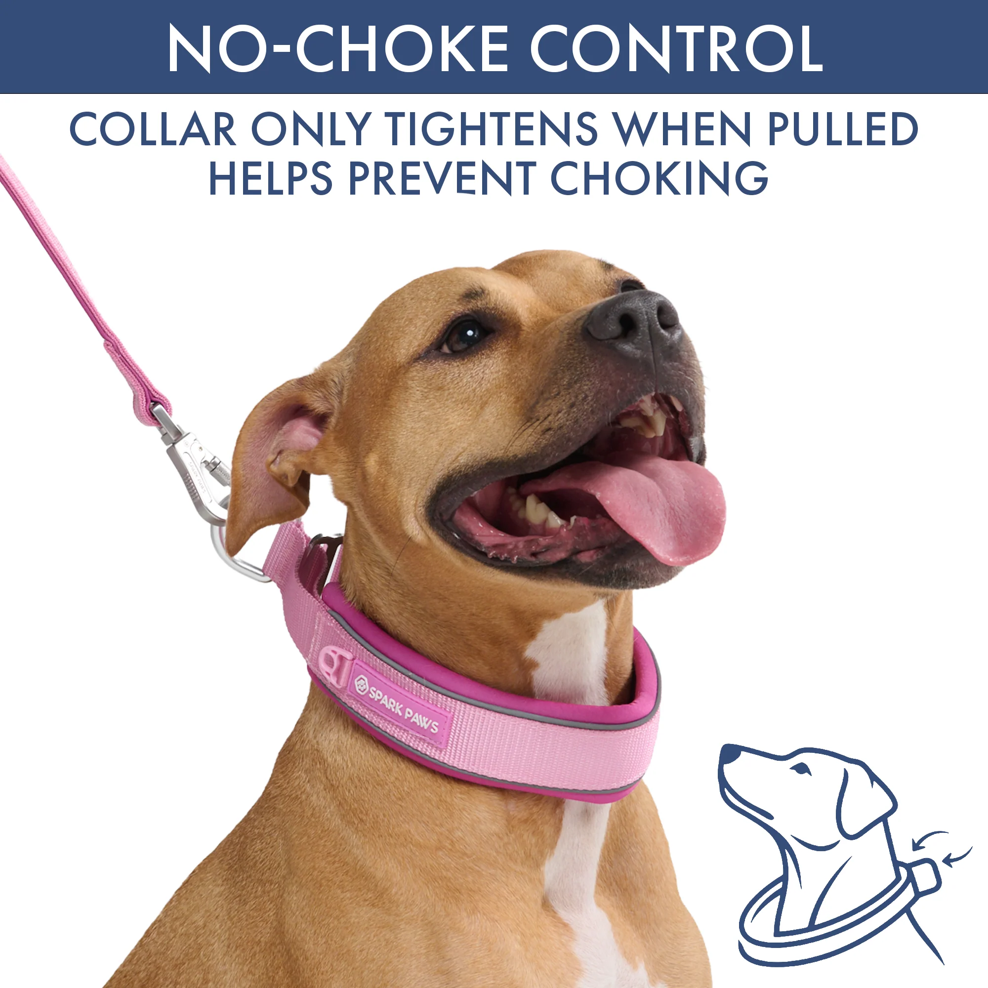 Martingale Collar and Multipurpose Leash Sets - Image 83