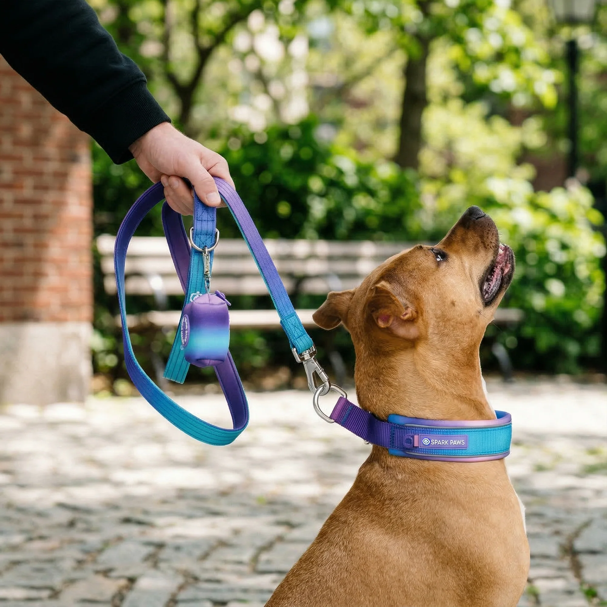 Martingale Collar Sets - Image 20