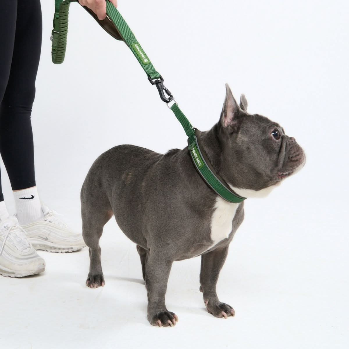 Cushioned Martingale Collar - Army Green - Image 5