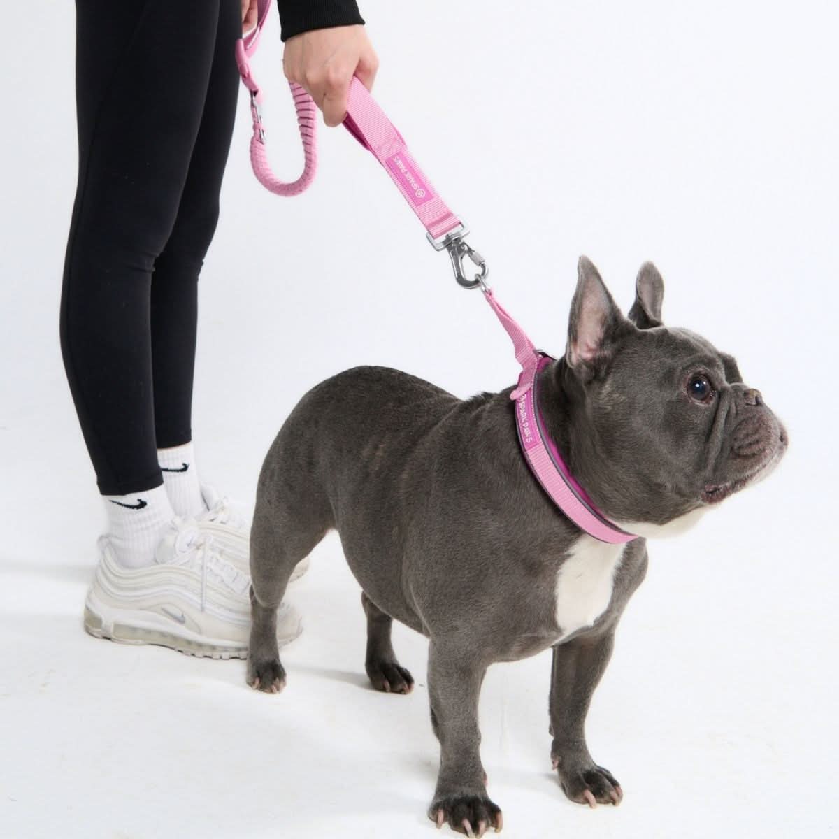 Cushioned Martingale Collar - Pink - Image 4