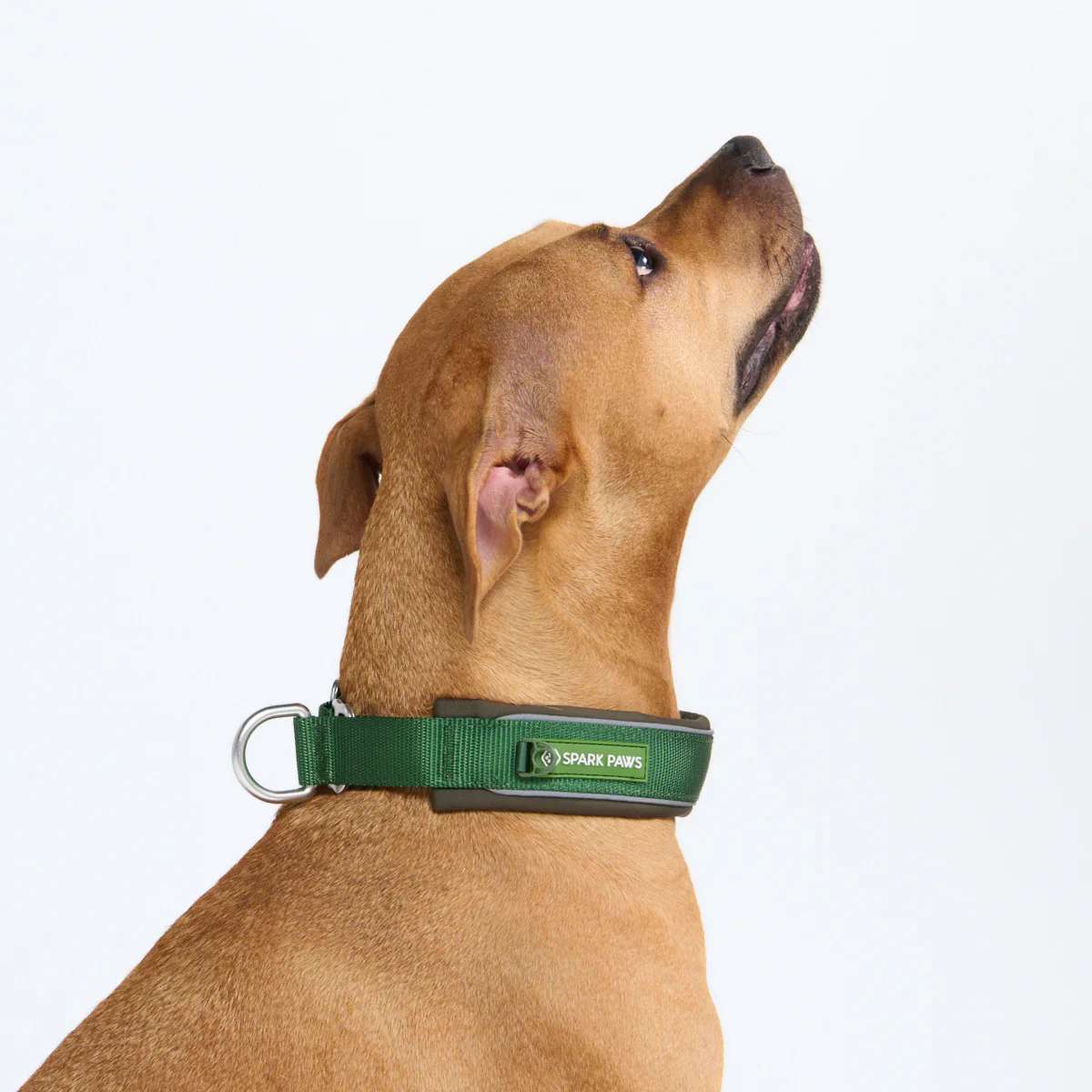 Cushioned Martingale Collars - Image 52