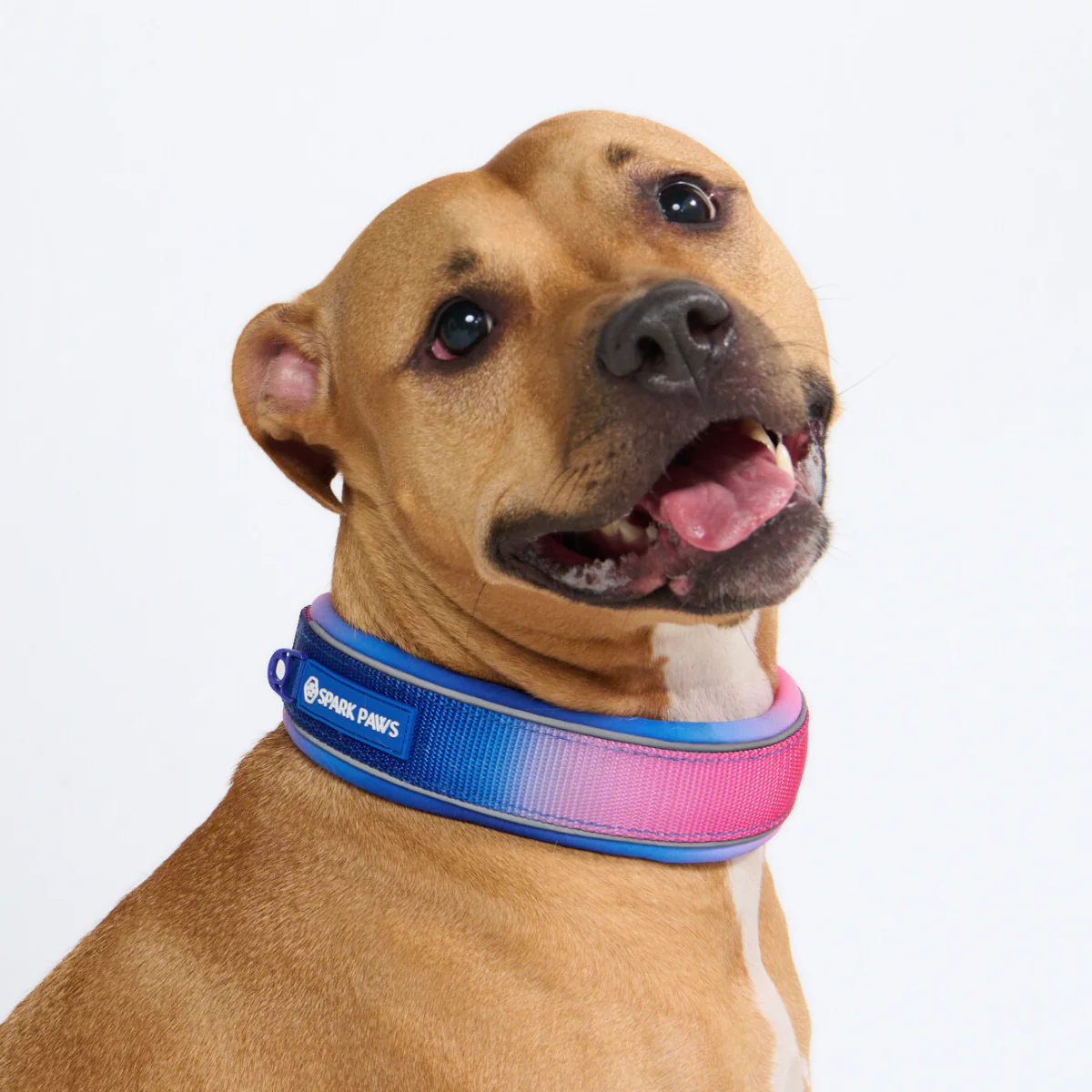 Cushioned Martingale Collars - Image 62