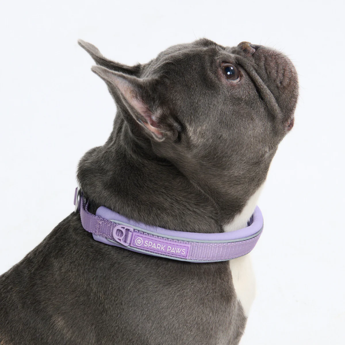 Cushioned Martingale Collars - Image 67