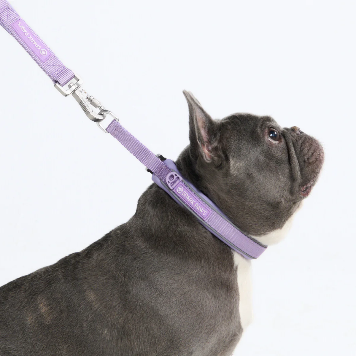 Cushioned Martingale Collars - Image 68