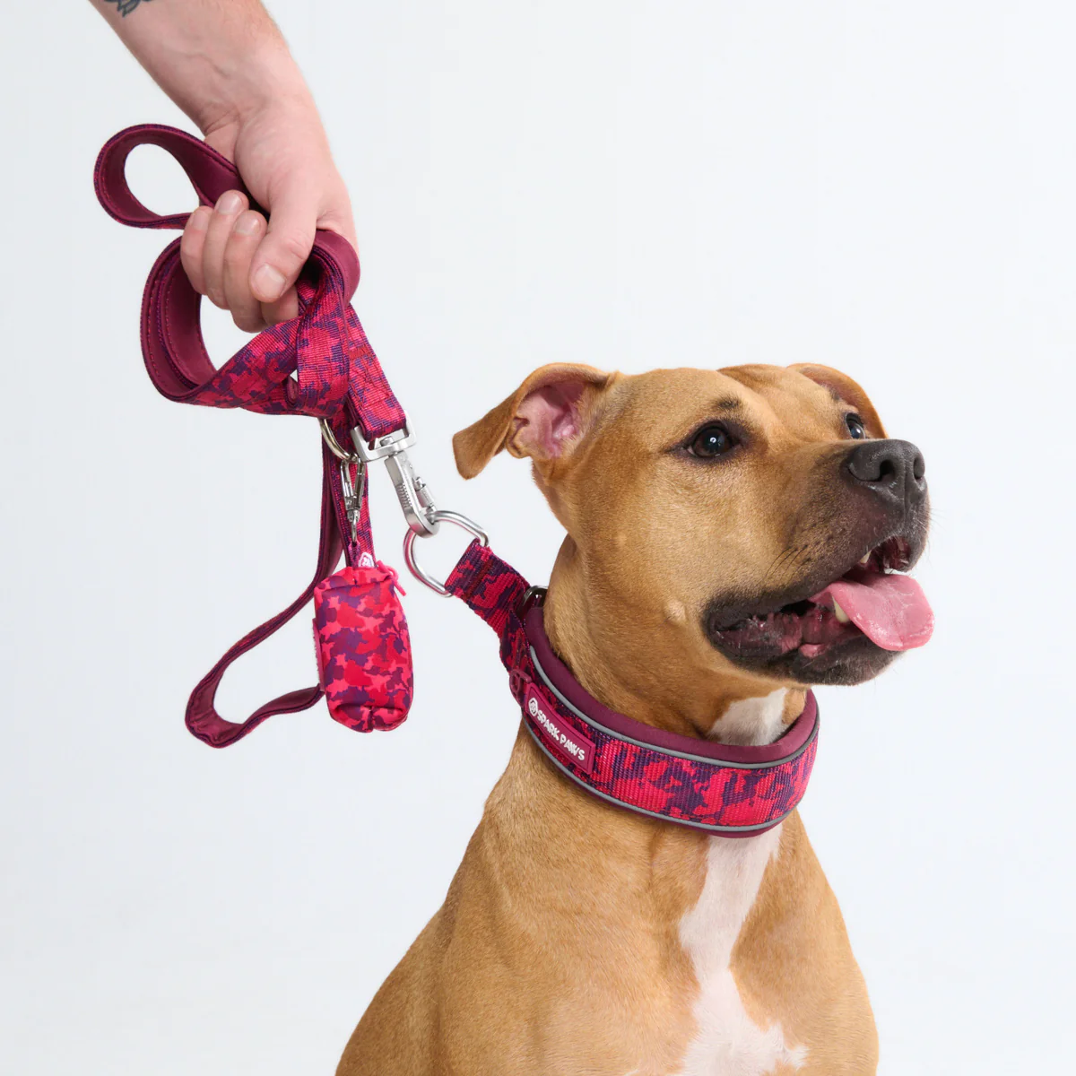 Cushioned Martingale Collars - Image 85