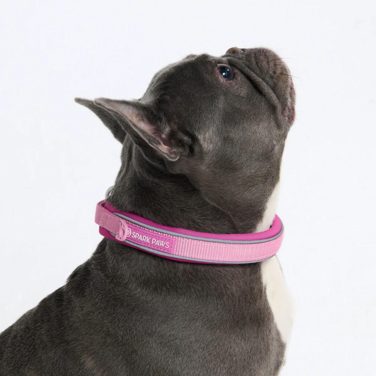 Cushioned Martingale Collars - Image 90
