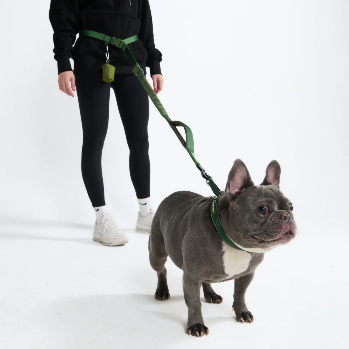 Multipurpose Seatbelt Handsfree Leash & Poop Bag Holder Set - Image 32