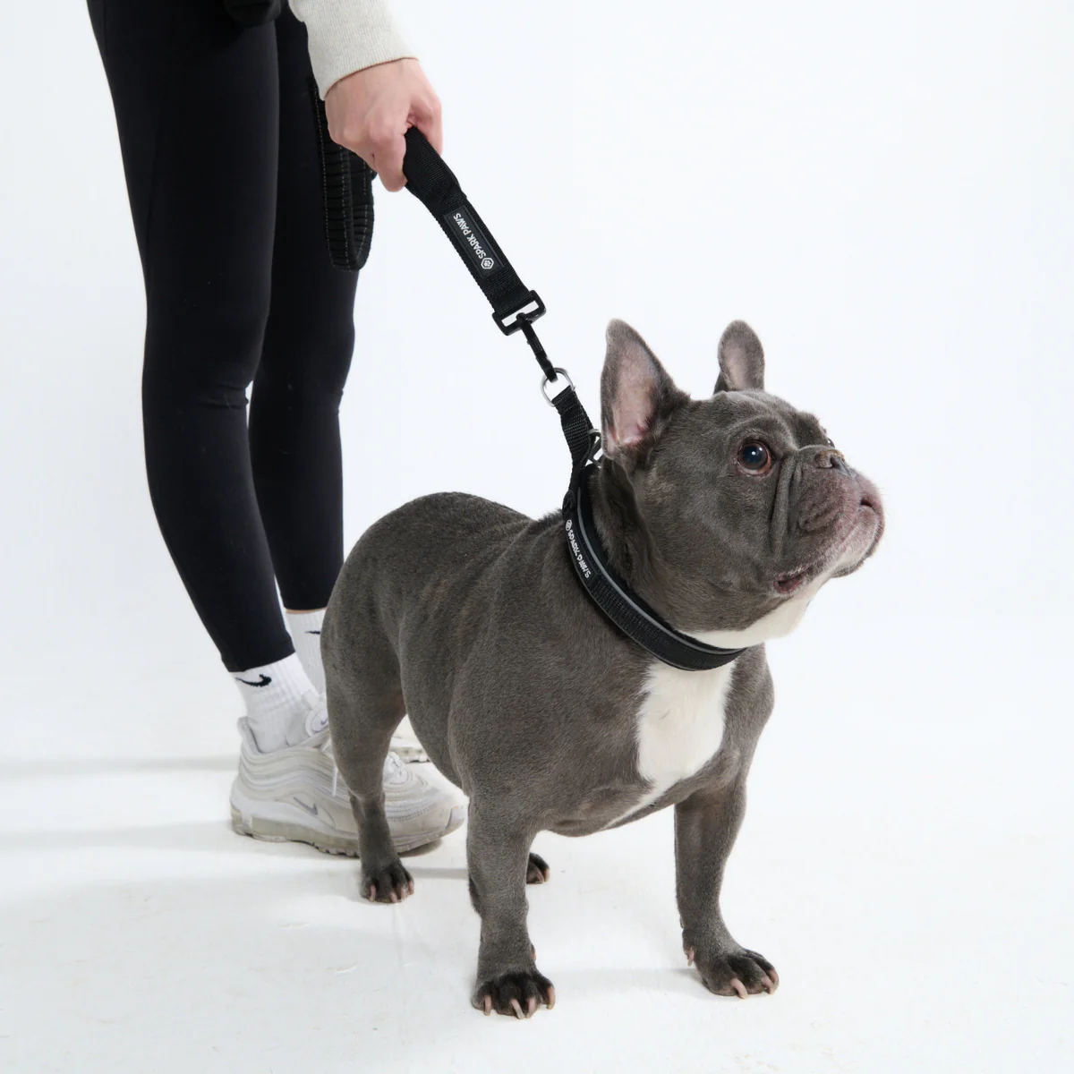 Multipurpose Seatbelt Handsfree Leash & Poop Bag Holder Set - Image 37