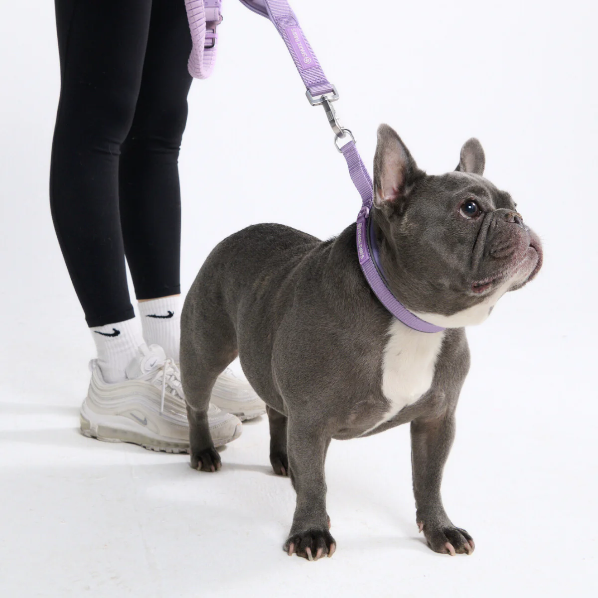 Multipurpose Seatbelt Handsfree Leash & Poop Bag Holder Set - Image 54