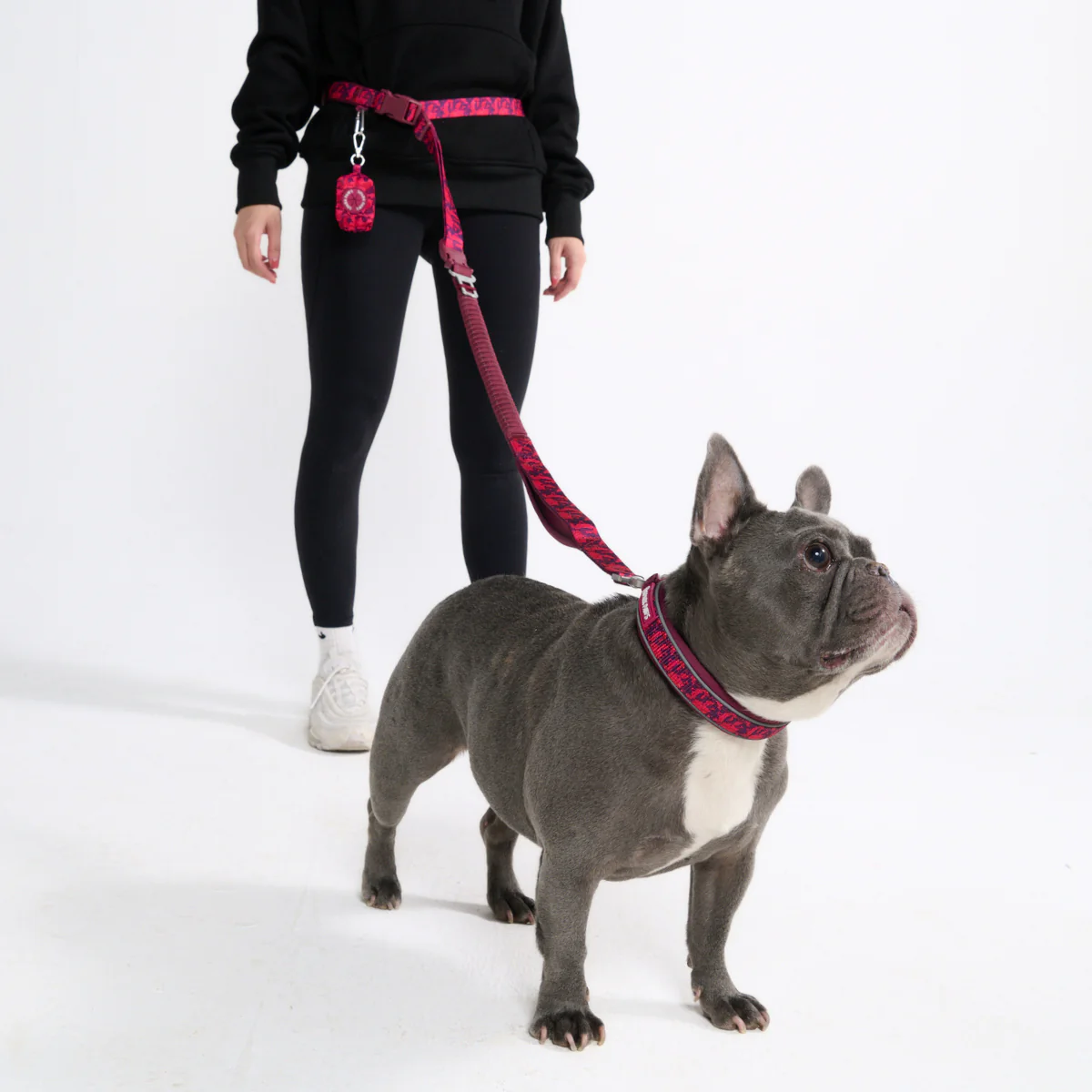 Multipurpose Seatbelt Handsfree Leash & Poop Bag Holder Set - Image 55