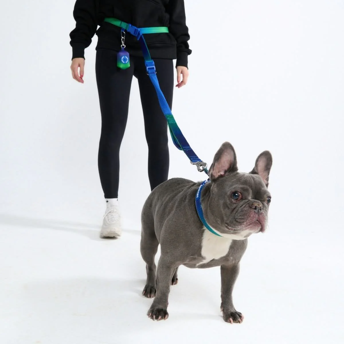 Multipurpose Seatbelt Handsfree Leash & Poop Bag Holder Set - Lime Wave - Image 2