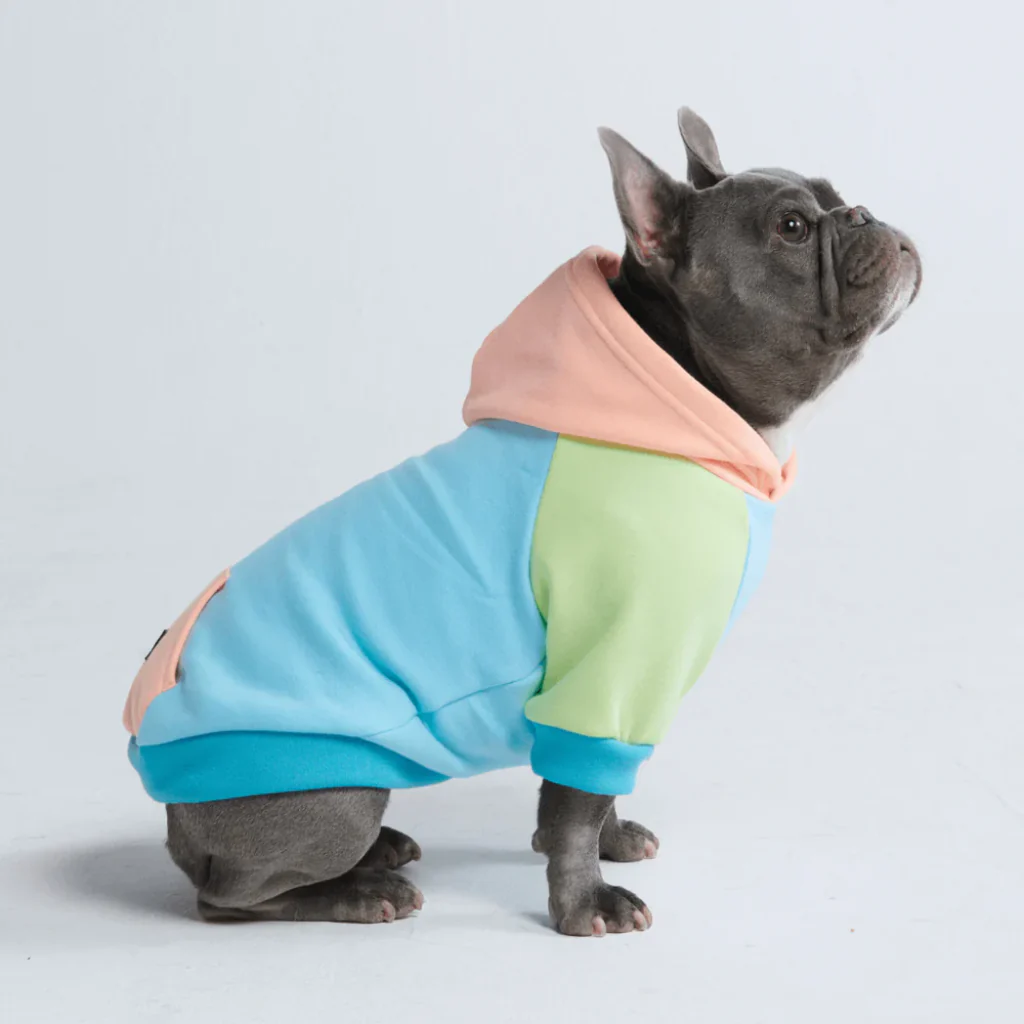 Jelly Bean Dog Hoodie - Image 4