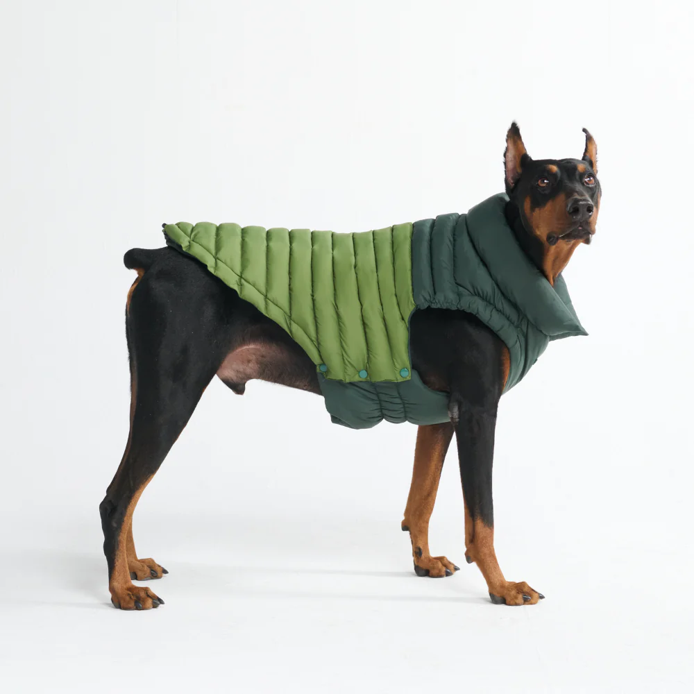 PuffShield Winter Jackets - Image 39