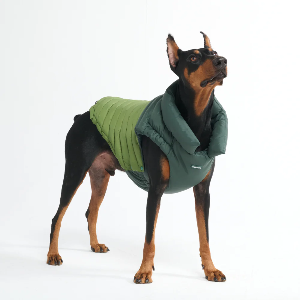 PuffShield Winter Jackets - Image 40