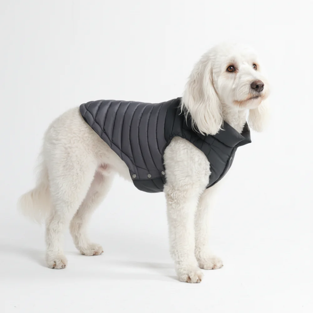 PuffShield Winter Jackets - Image 44