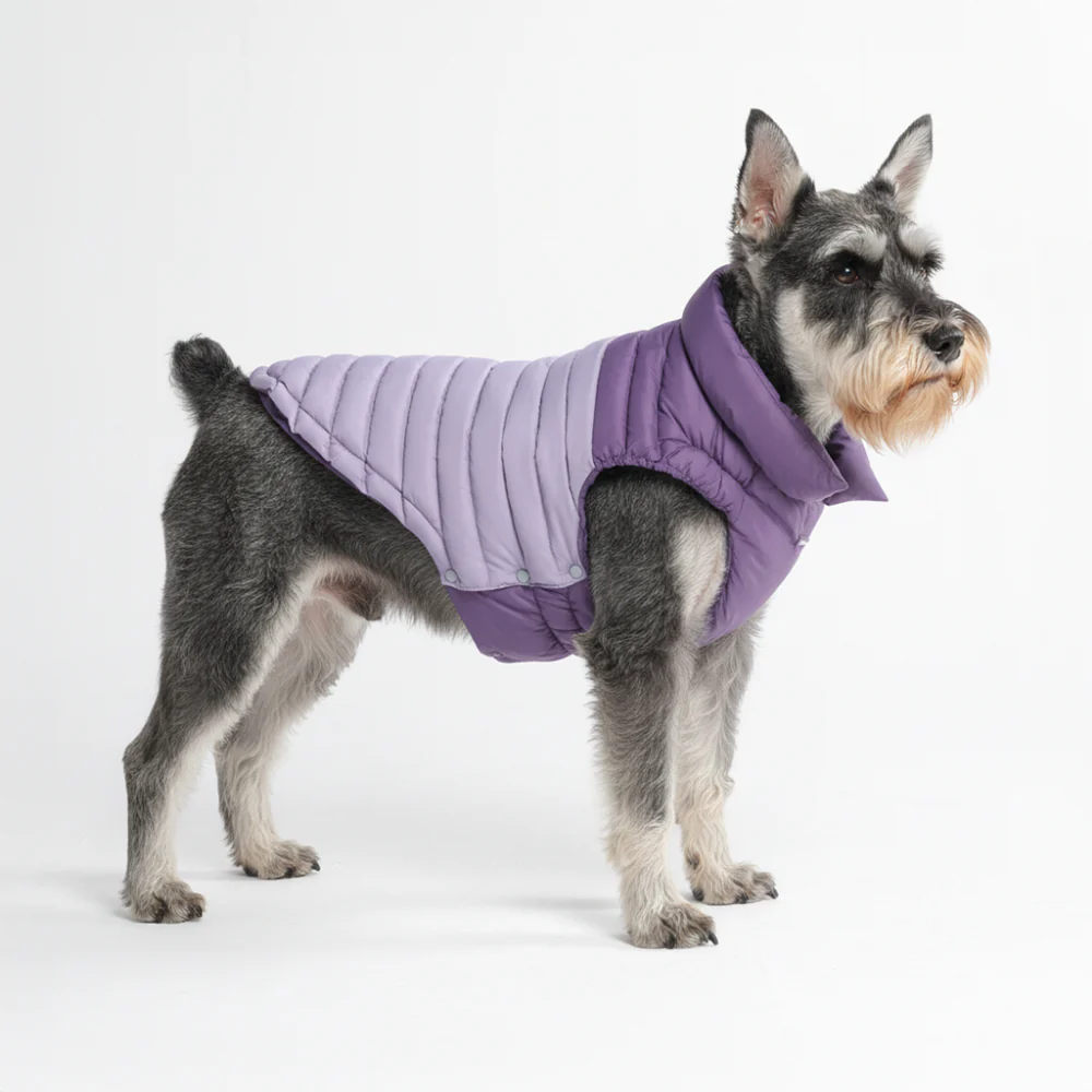 PuffShield Winter Jacket -  Purple - Image 2