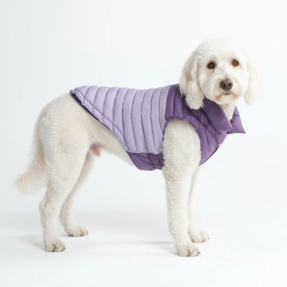PuffShield Winter Jacket -  Purple - Image 3