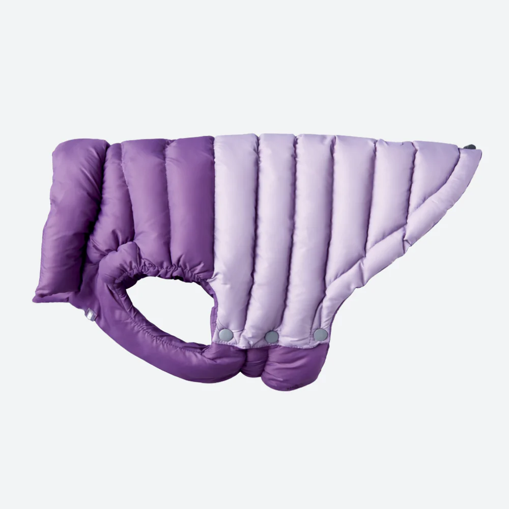 PuffShield Winter Jacket -  Purple - Image 5