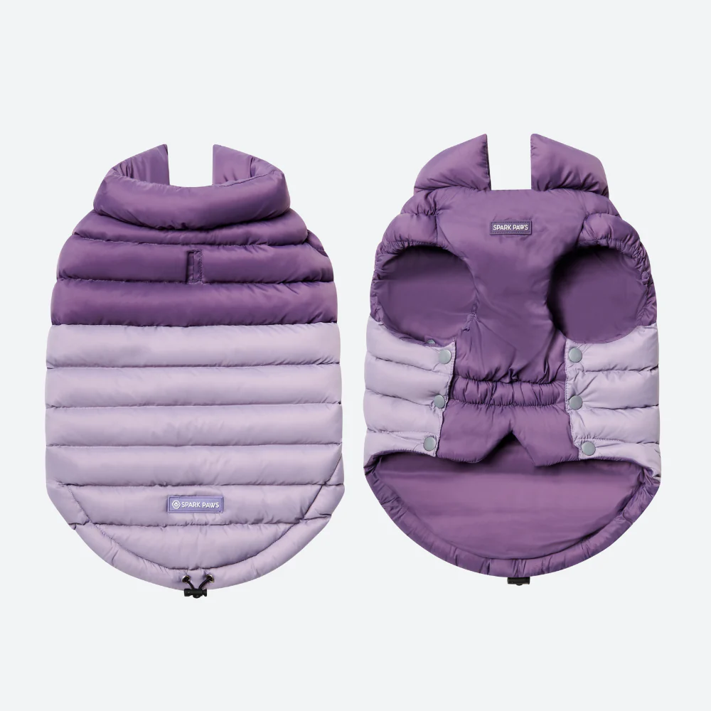 PuffShield Winter Jacket -  Purple - Image 6