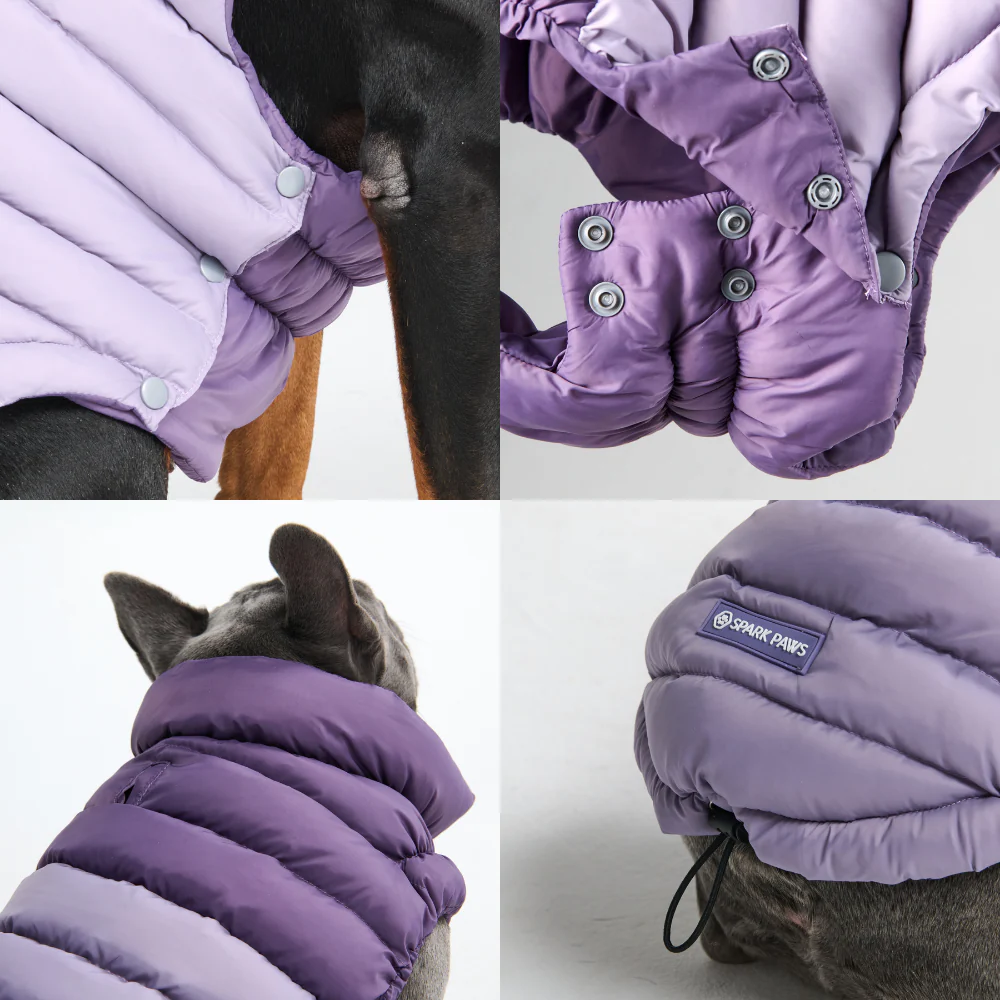 PuffShield Winter Jacket -  Purple - Image 7