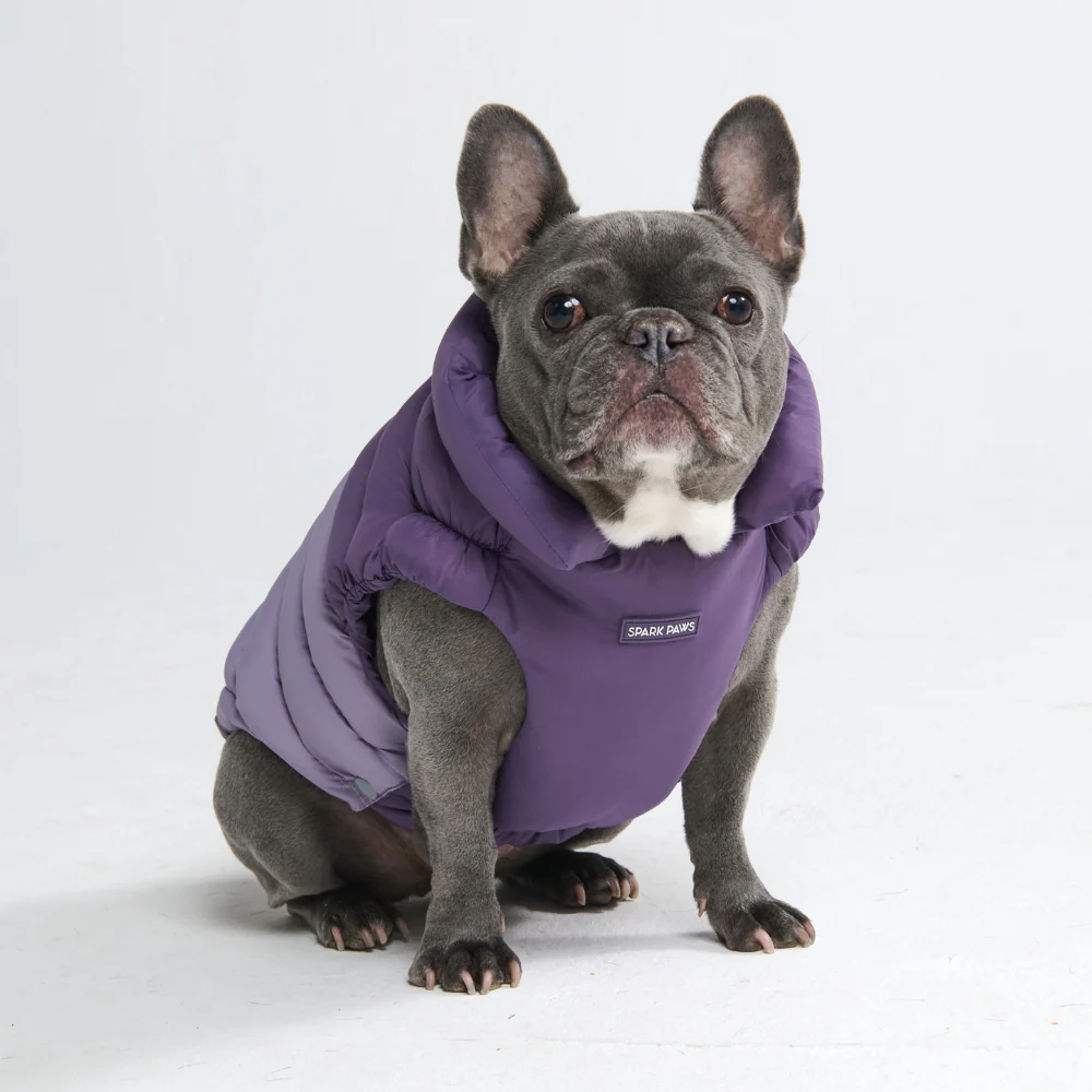 PuffShield Winter Jacket -  Purple - Image 9