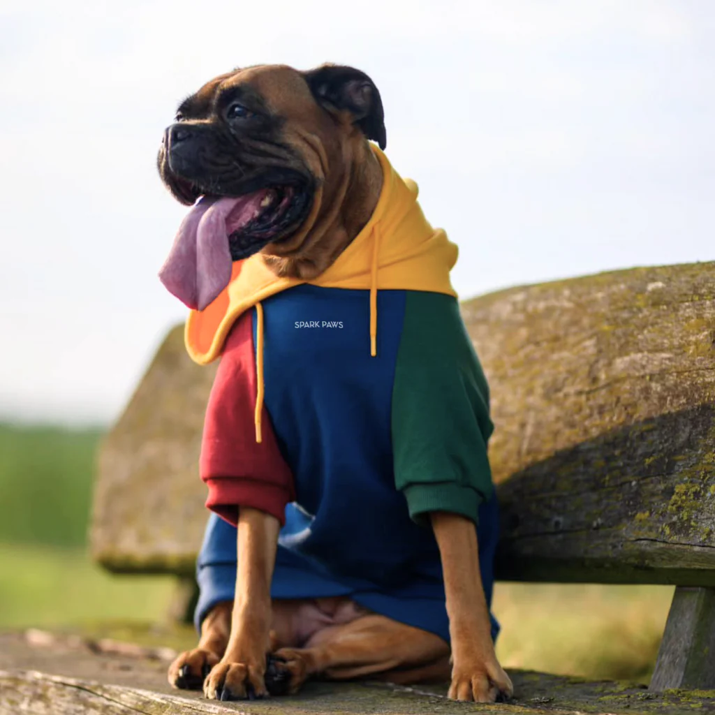Color Block Dog Hoodies - Image 37