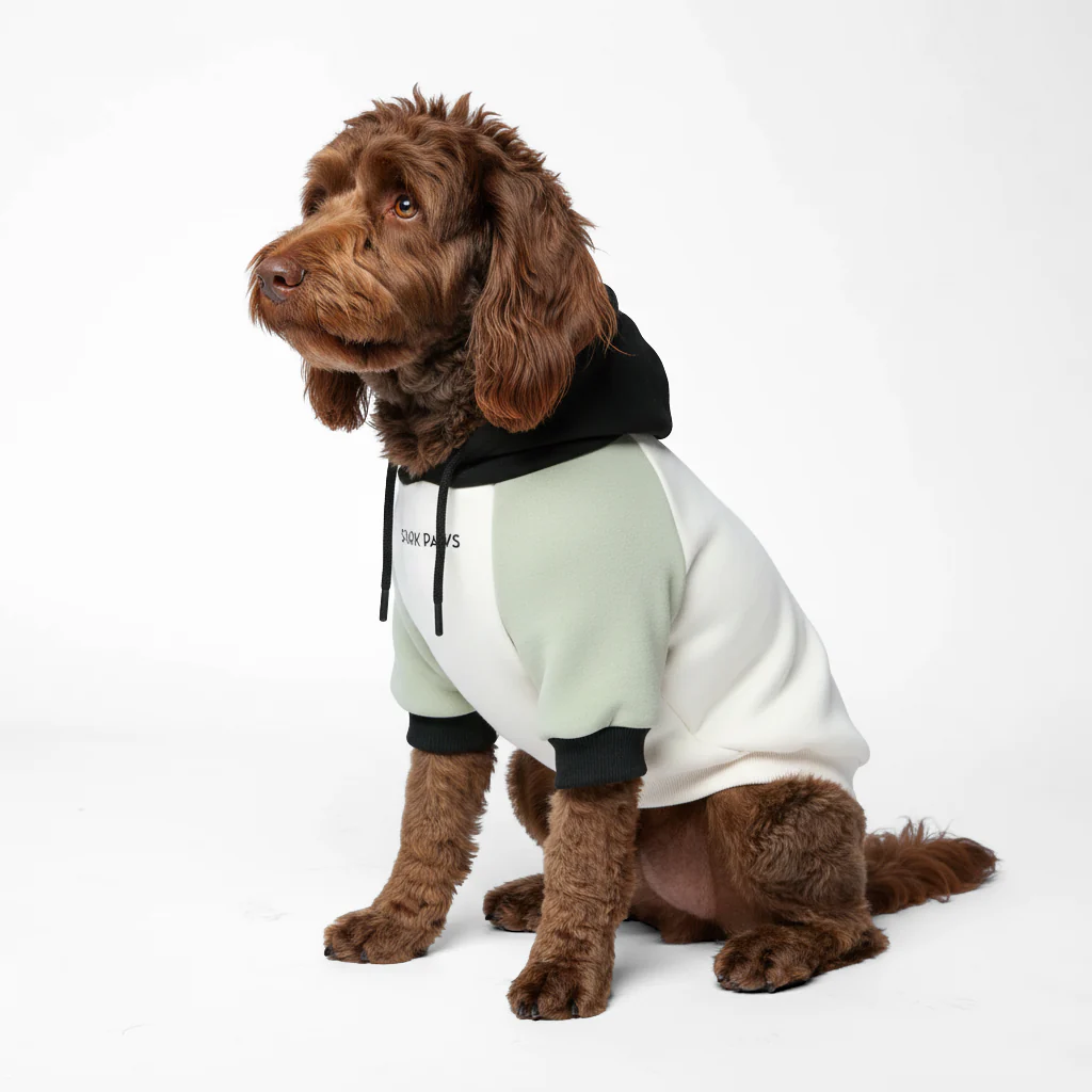 Color Block Dog Hoodies - Image 67