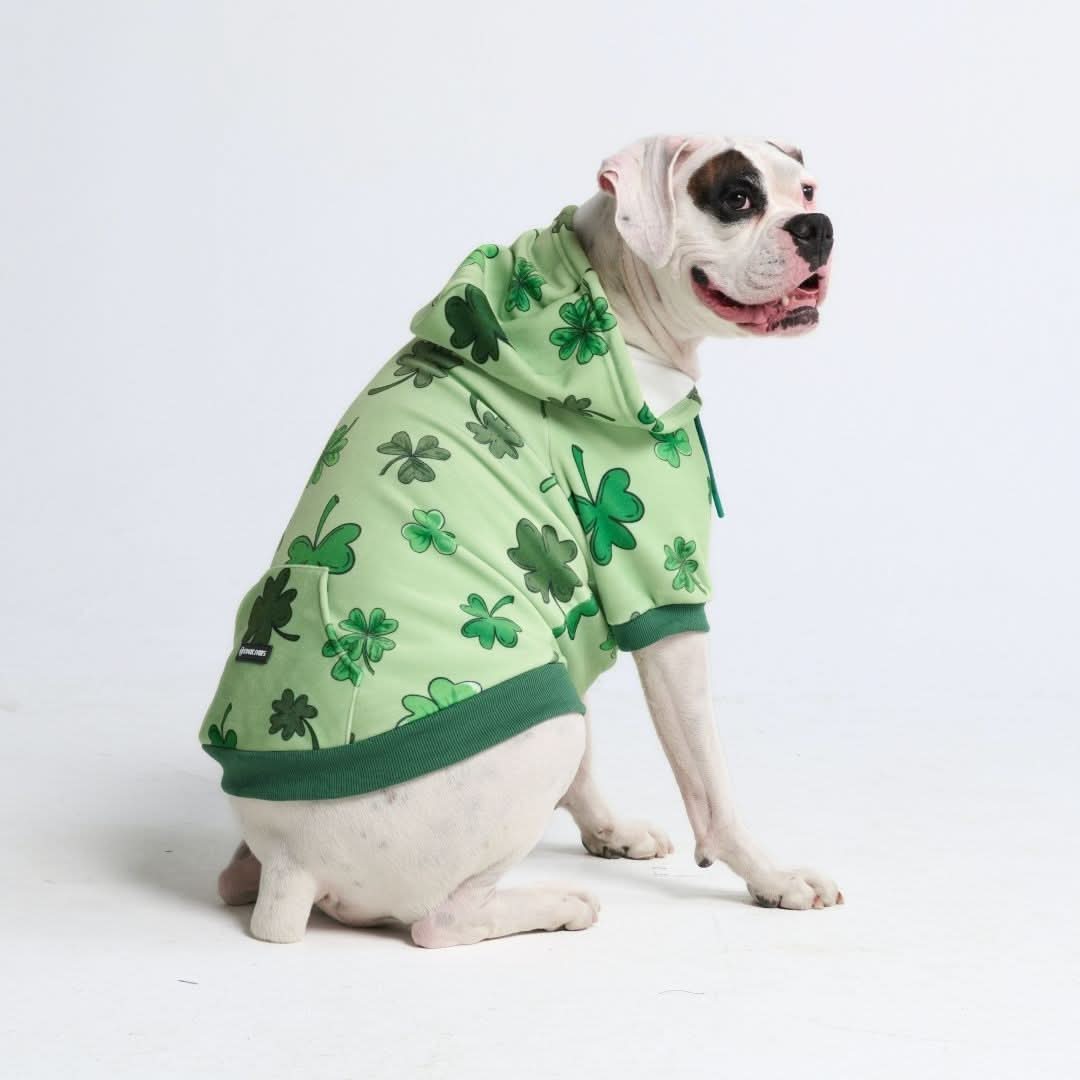 St. Paddy's Dog Hoodie - Light Green (Limited Edition) - Image 4