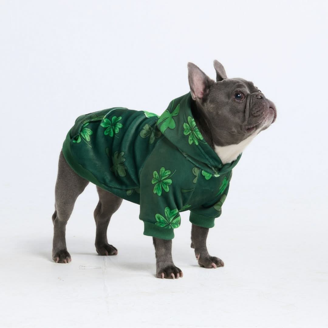 St. Paddy's Human Hoodies (Limited Edition) - Image 5