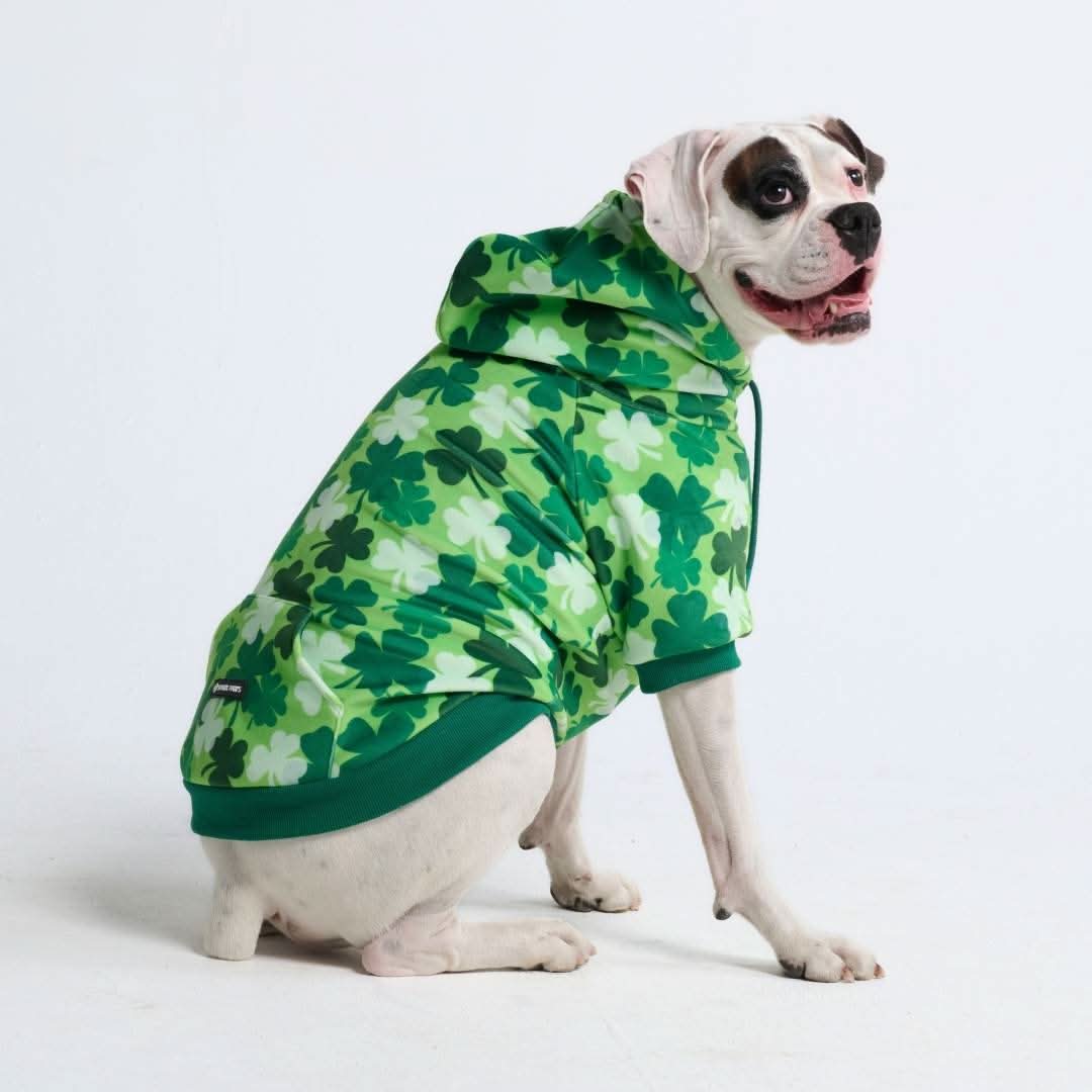 St. Paddy's Dog Hoodies (Limited Edition) - Image 11