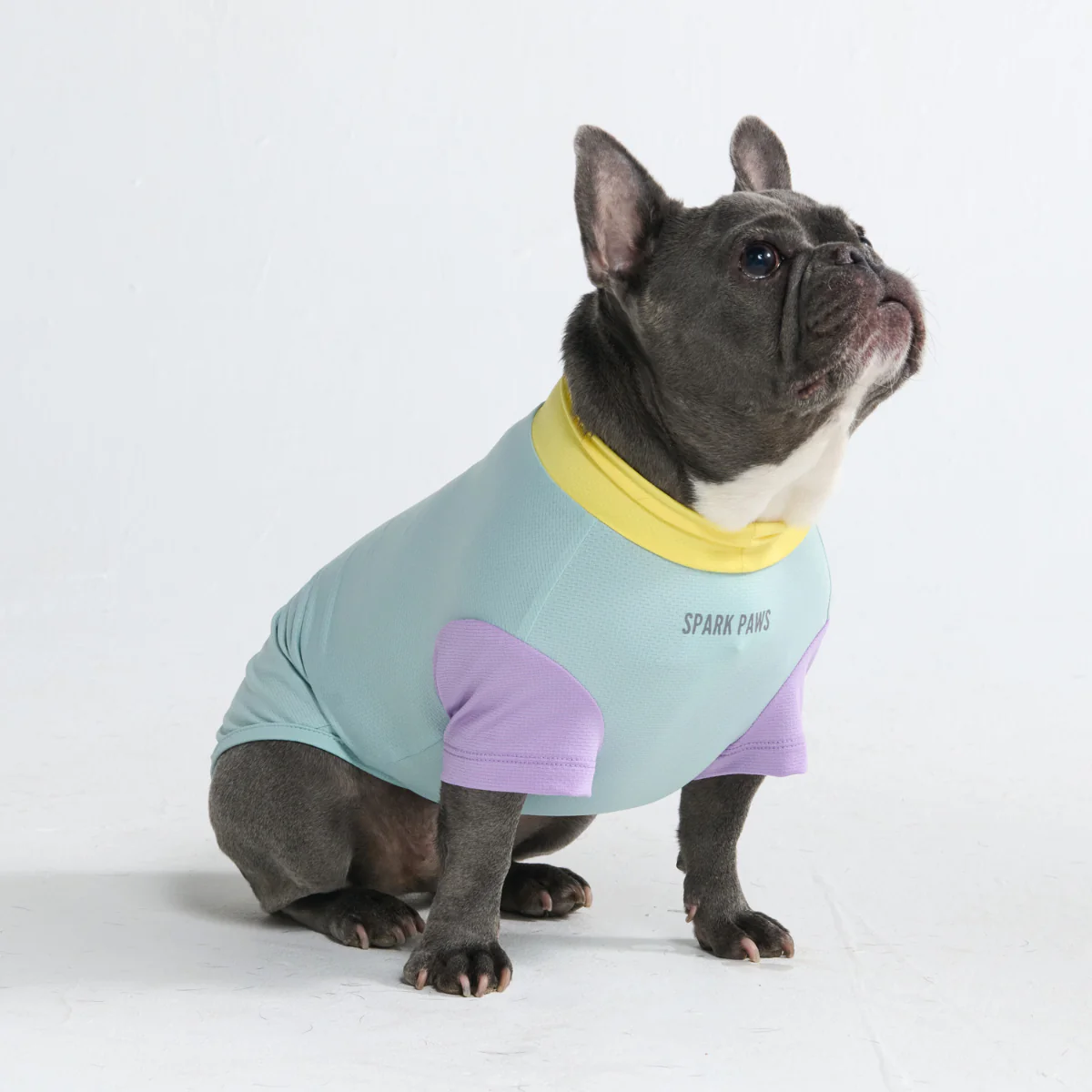 Sunblock Dog T-Shirt - Color Block - Image 14