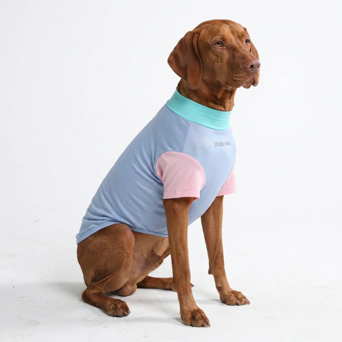 Sunblock Dog T-Shirt - Color Block - Image 17