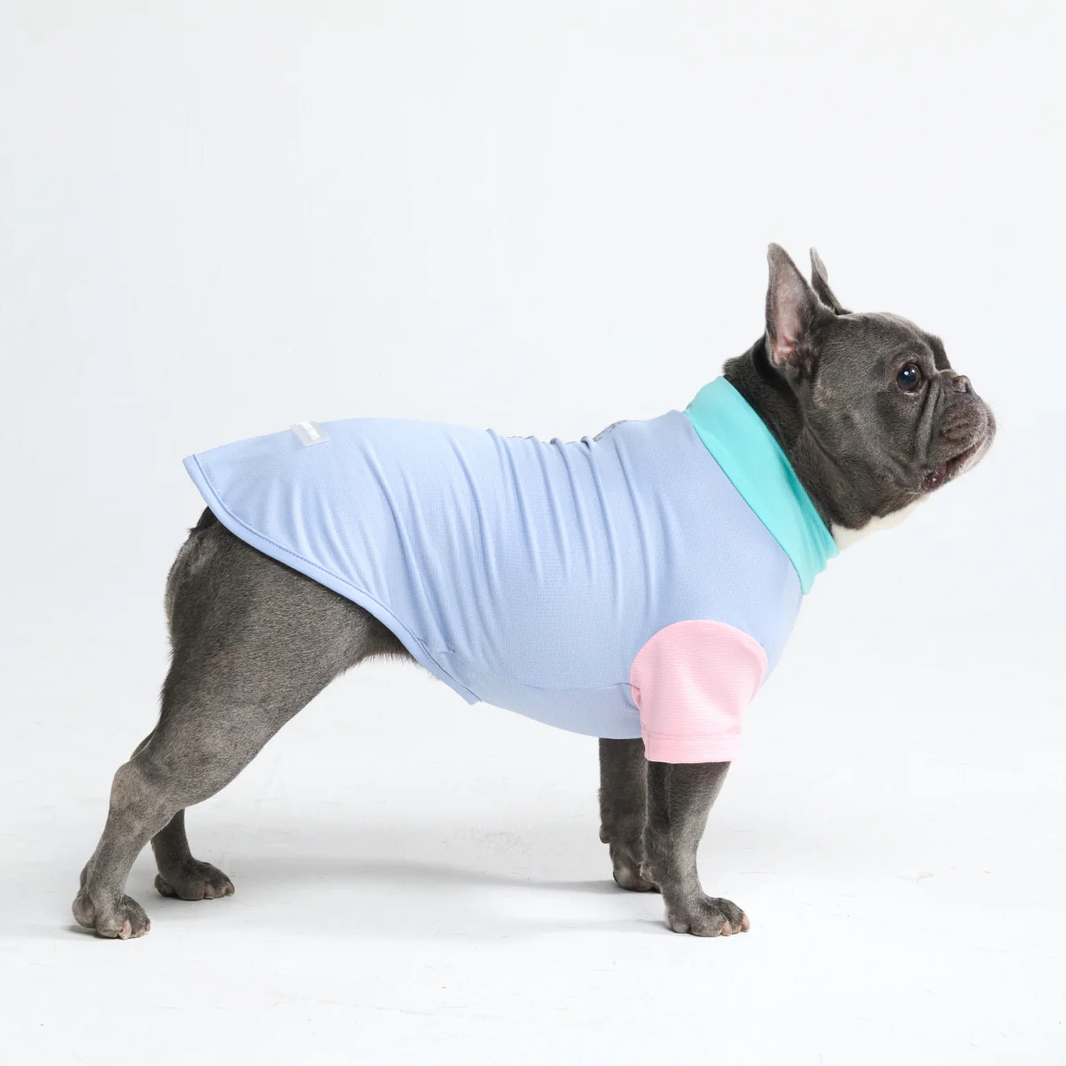 Sunblock Dog T-Shirt - Color Block - Image 21